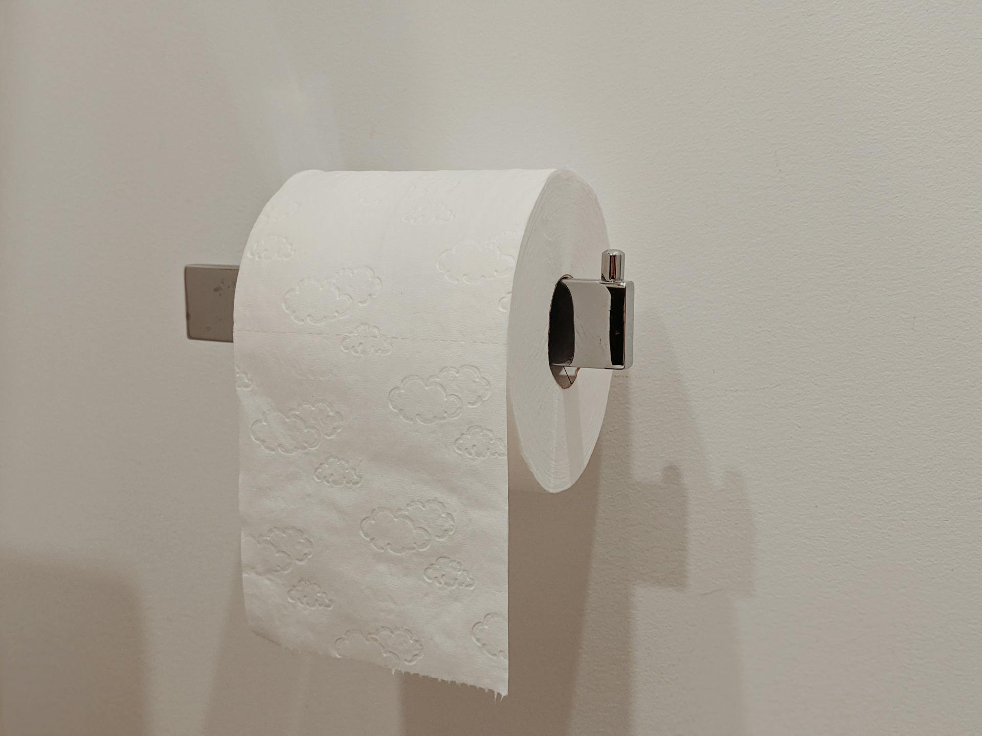 Un rouleau de papier toilette | Source : Pexels