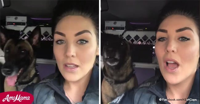 Une chienne de police vole la vedette dans une vidéo de synchronisation labiale virale