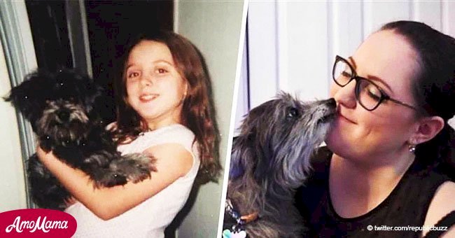 Une femme a adopté un beau chien âgé seulement pour découvrir que c'était son animal de compagnie d'enfance