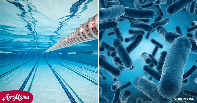 Une étude a révélé que des parasites et des bactéries dangereuses peuvent se cacher dans les piscines publiques