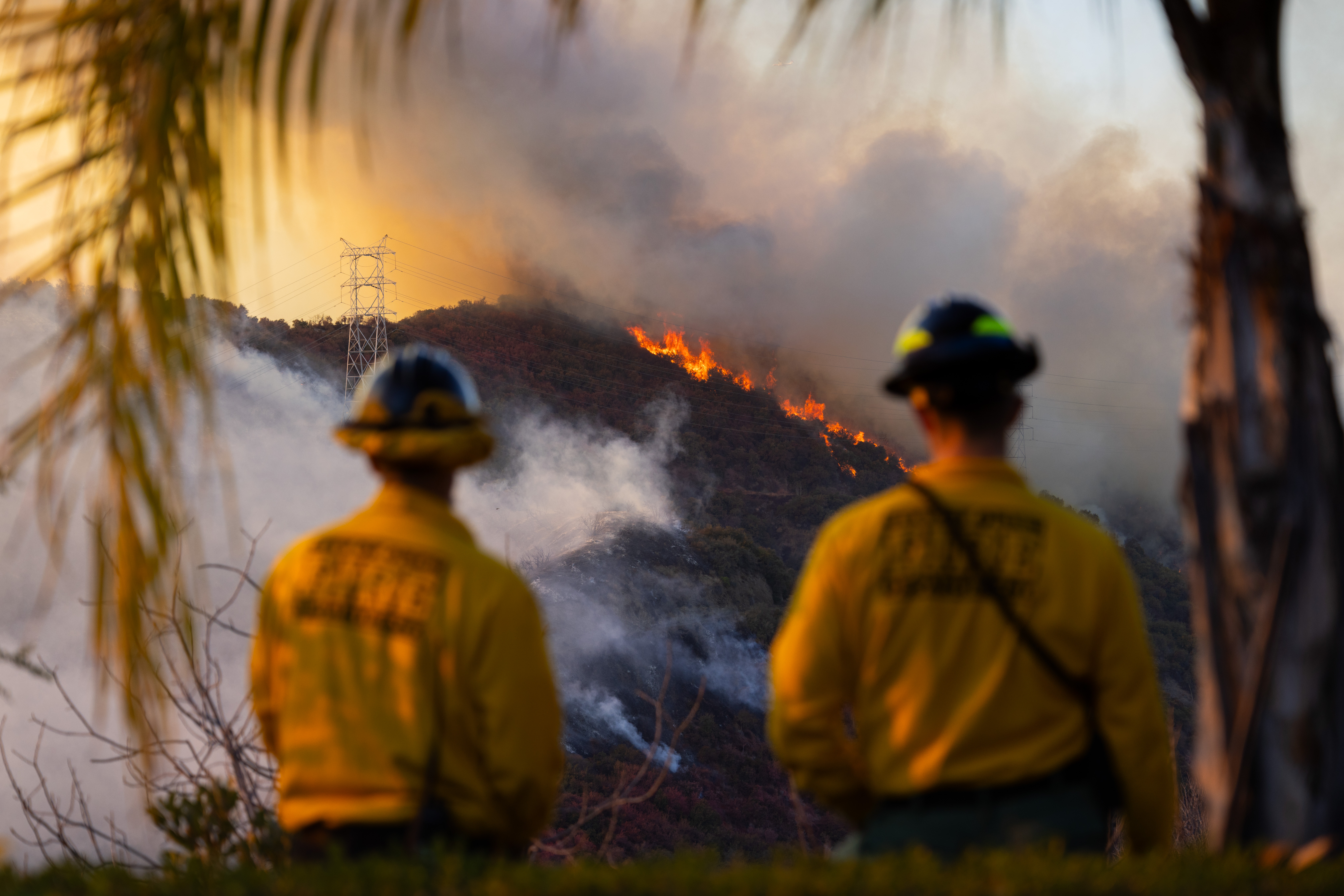 Des pompiers d'Orem, dans l'Utah, surveillent l'incendie de Palisades, le long de Mandeville Canyon, dans la communauté de Brentwood à Los Angeles, en Californie, le 11 janvier 2025 | Source : Getty Images