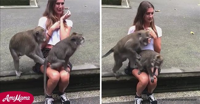 Cette jeune femme veut faire une vidéo drôle avec un singe, mais le singe mâle a une autre idée derrière la tête
