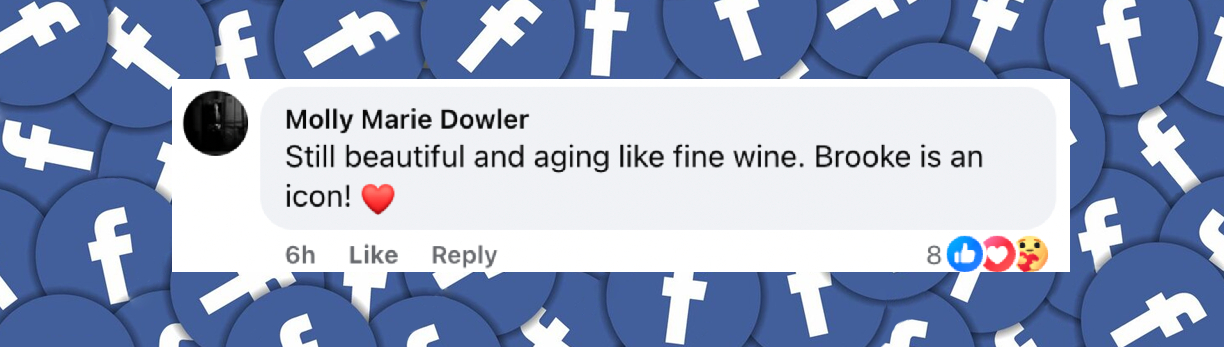 Un fan commente l'apparition de Brooke Shields aux Tony Awards, en date du 20 juin 2025 | Source : Facebook/E!News