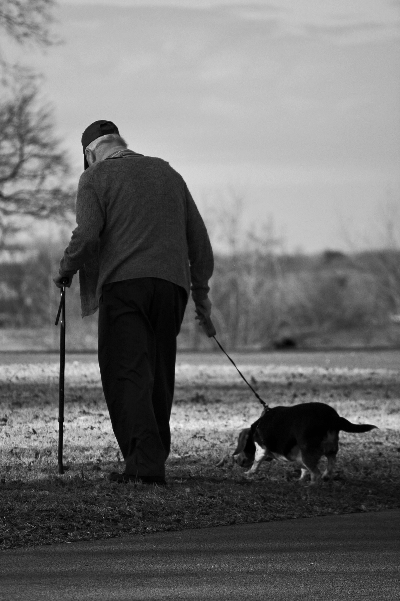 Un homme âgé promenant son chien | Source : Pixabay