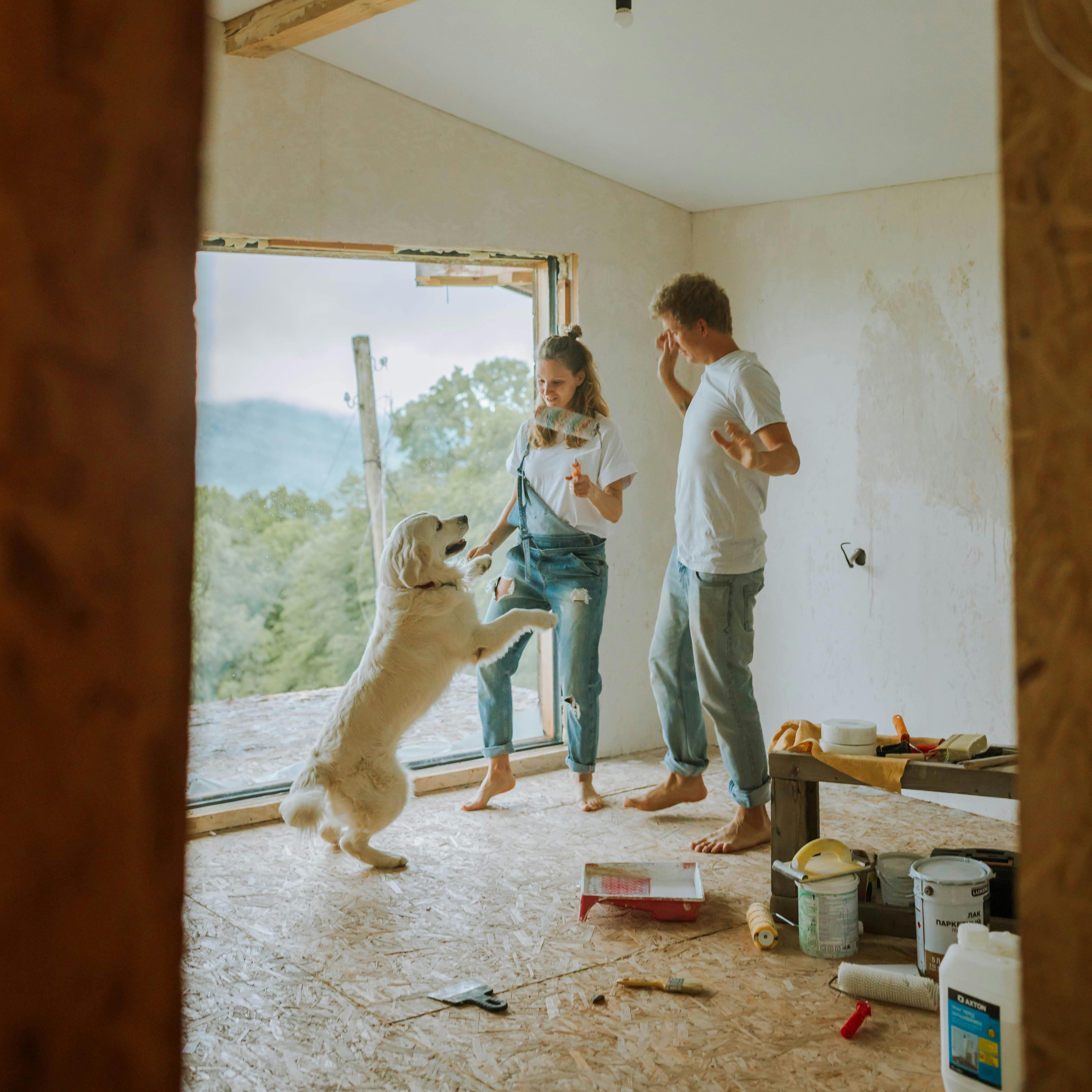 Un couple et son chien en train de rénover une chambre | Source : Pexels