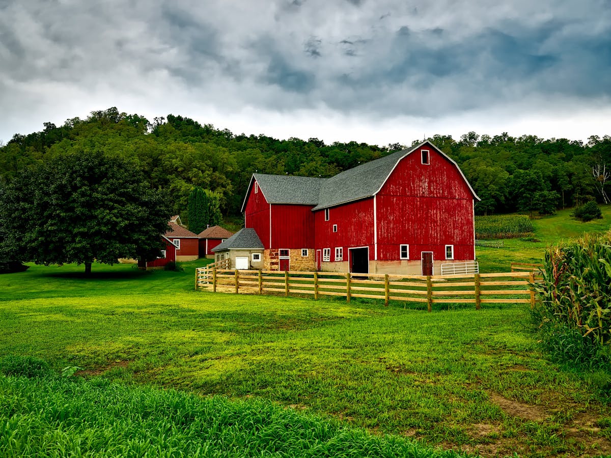 Une ferme dans les champs | Source : Pexels