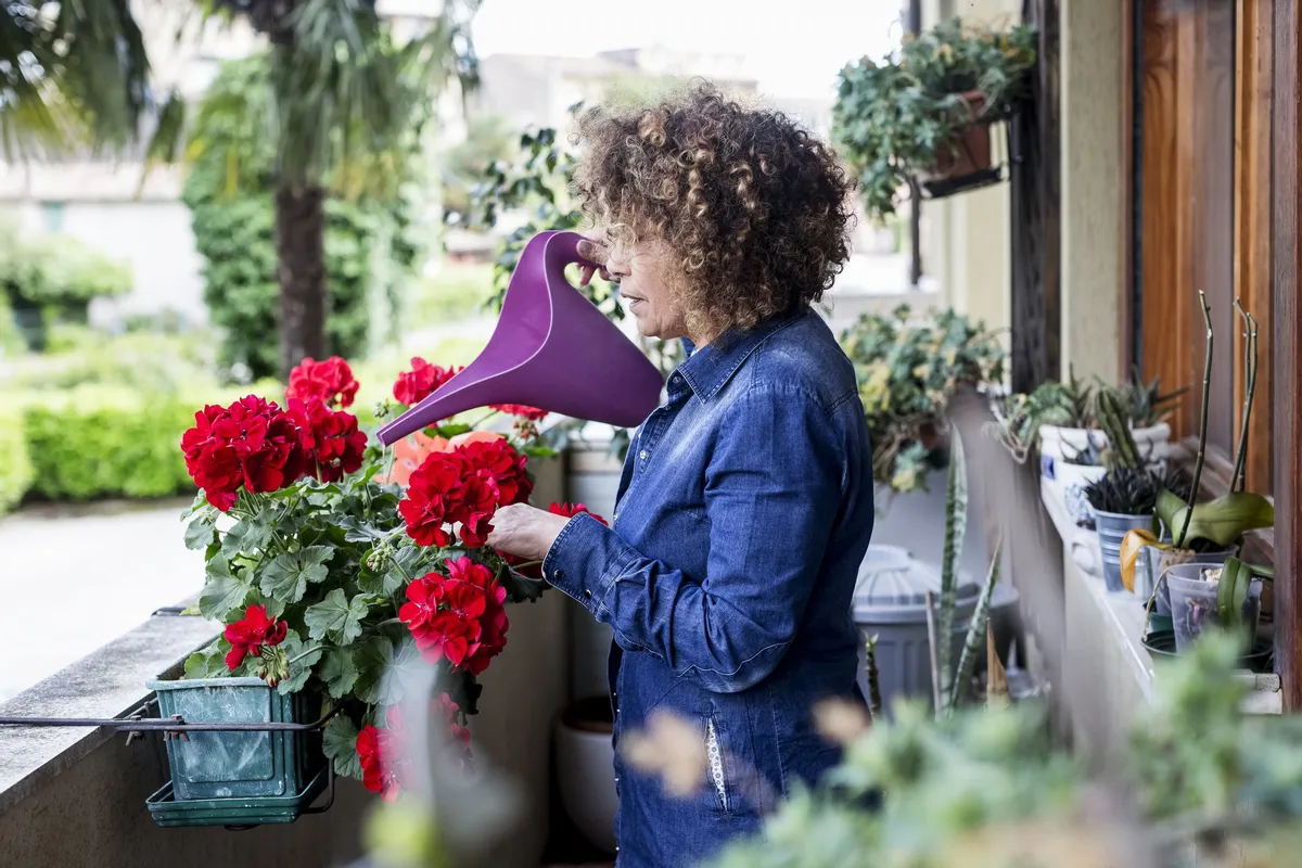 Une femme qui arrose ses fleurs | photo : Getty Images