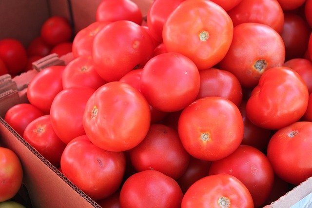 Tomates dans une caisse | Photo: Pixabay