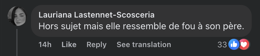 Commentaire d'internaute sur la vidéo de Giulia Sarkozy | Source : TikTok