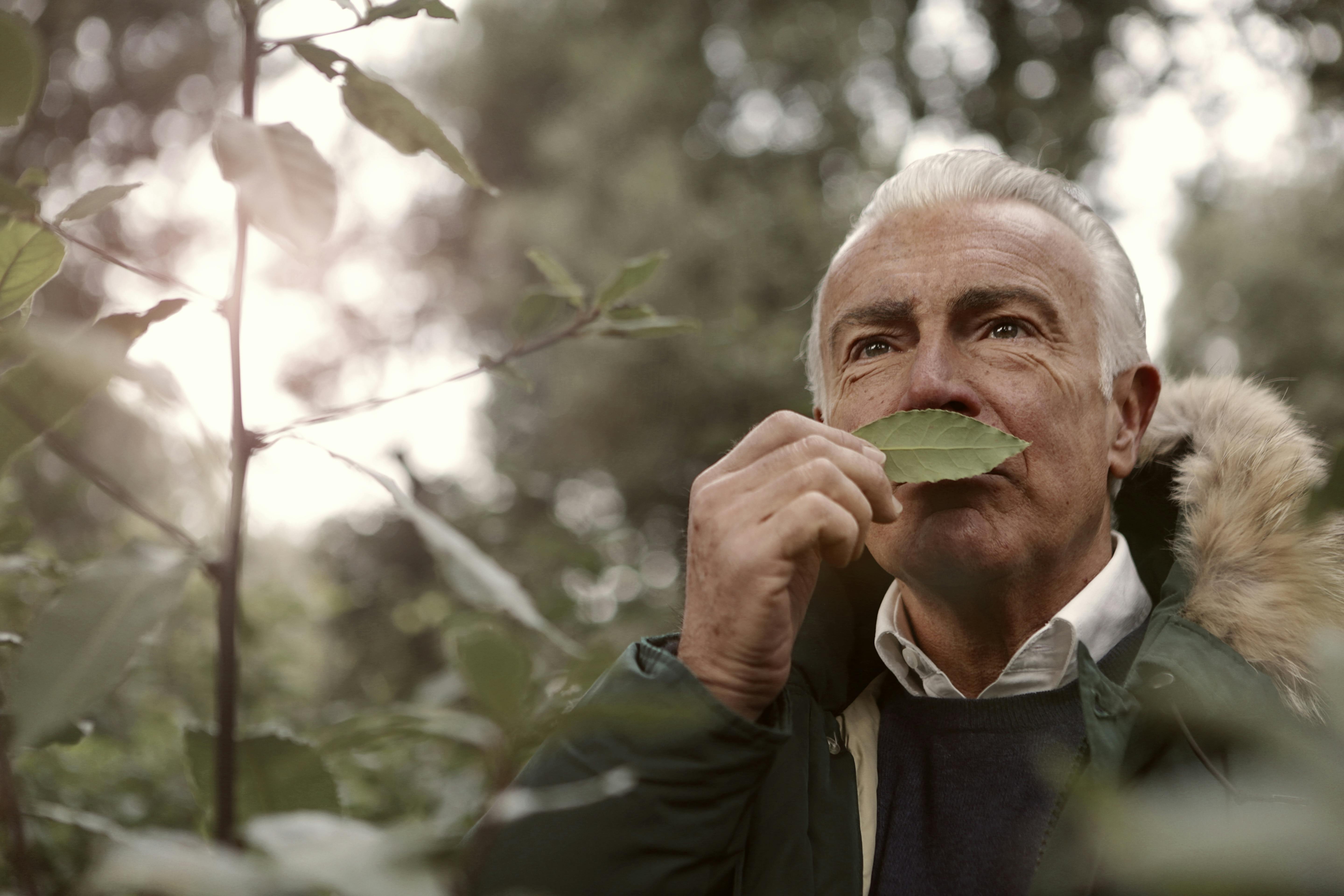 Un vieil homme reniflant une feuille | Source : Pexels