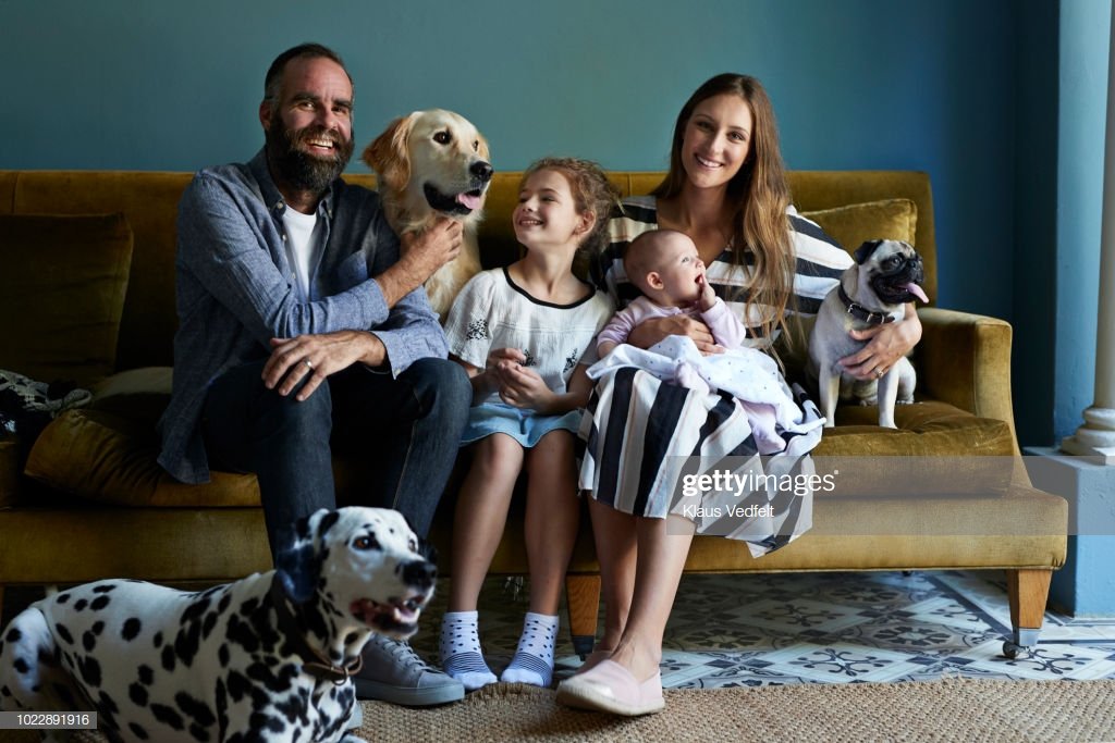 Une famille assise ensemble dans un canapé avec leurs chiens | photo : Getty Images