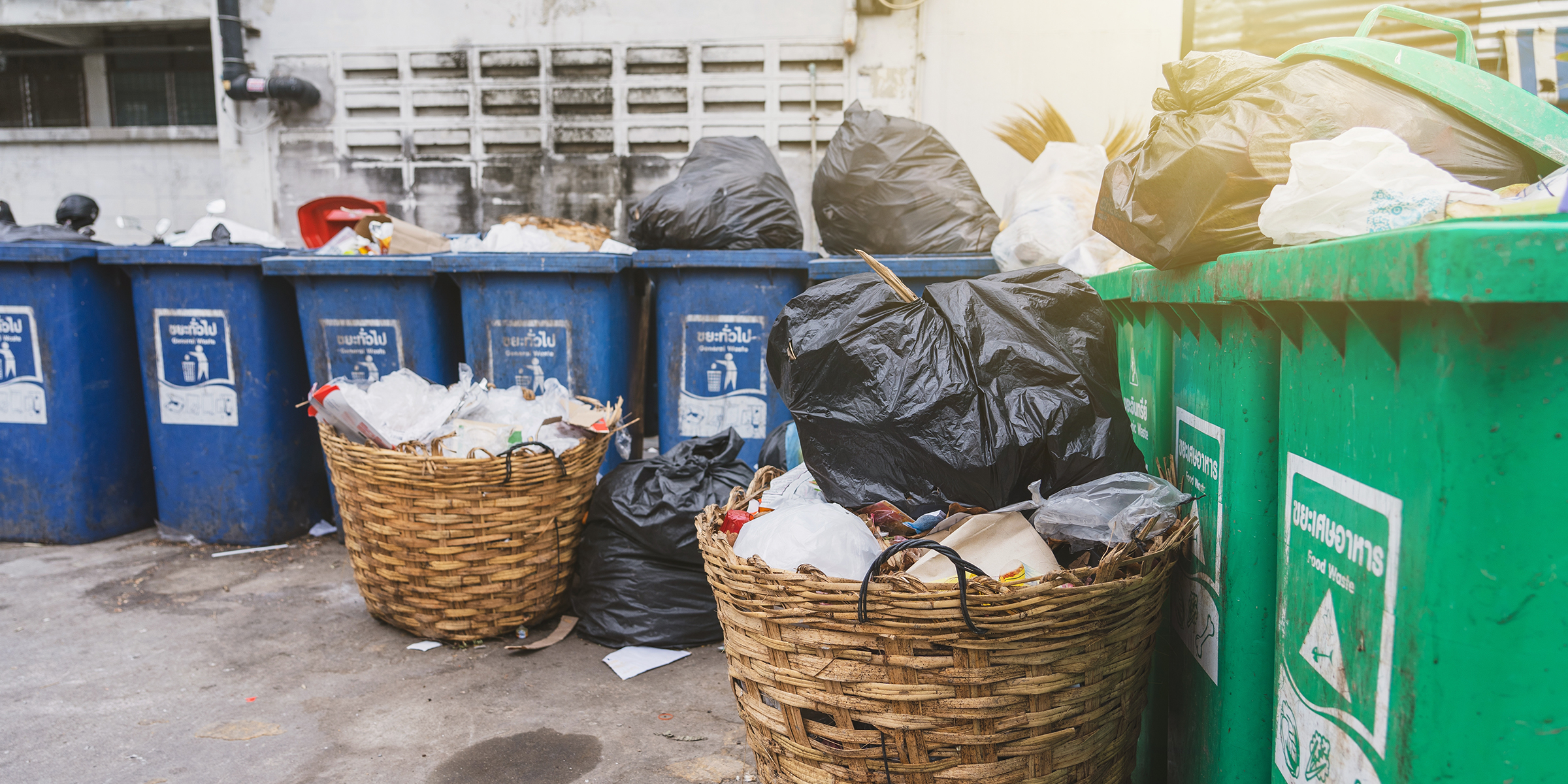 Poubelles | Source : Shutterstock