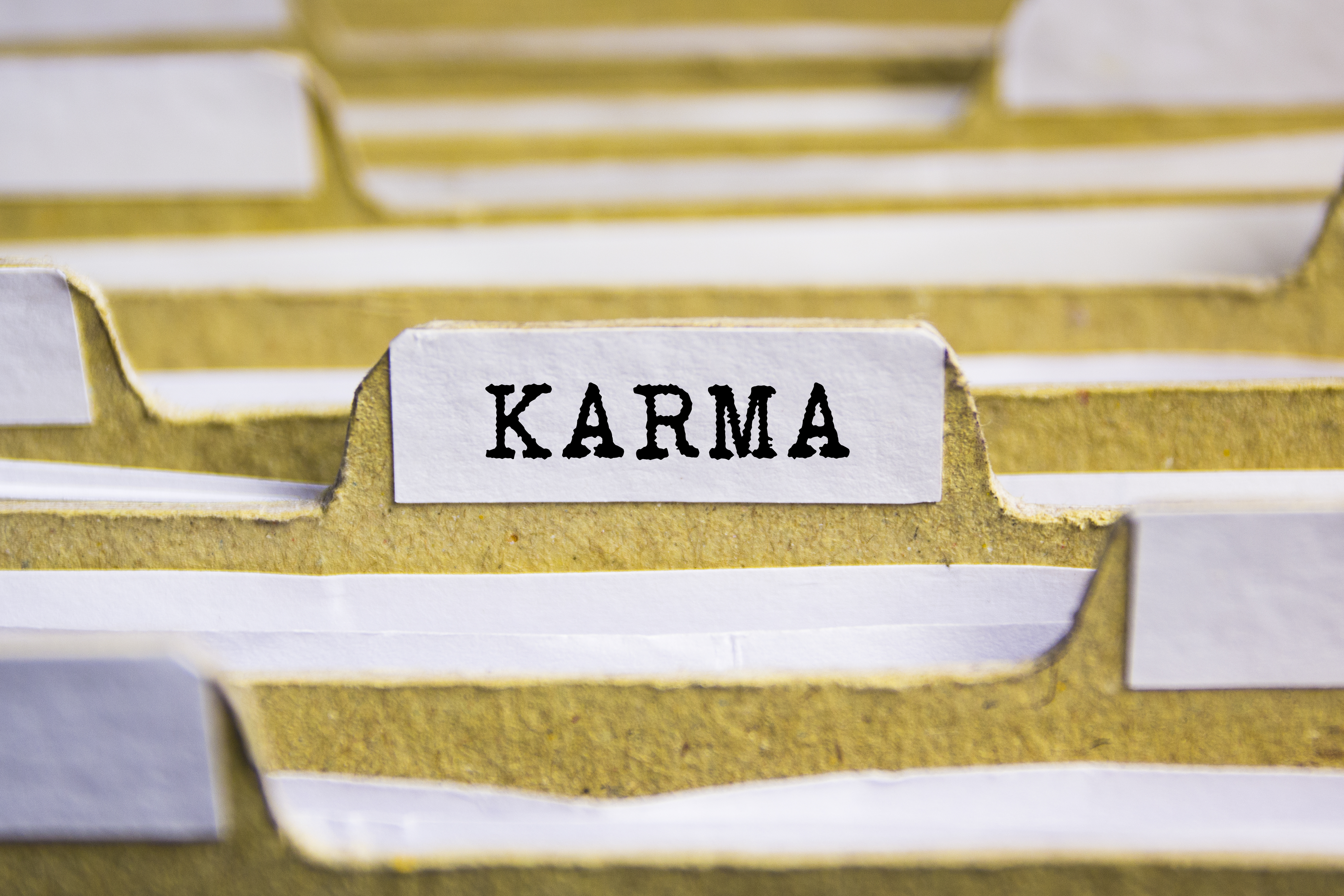 Le mot "karma" imprimé sur un fichier | Source : Shutterstock/Sinart Creative