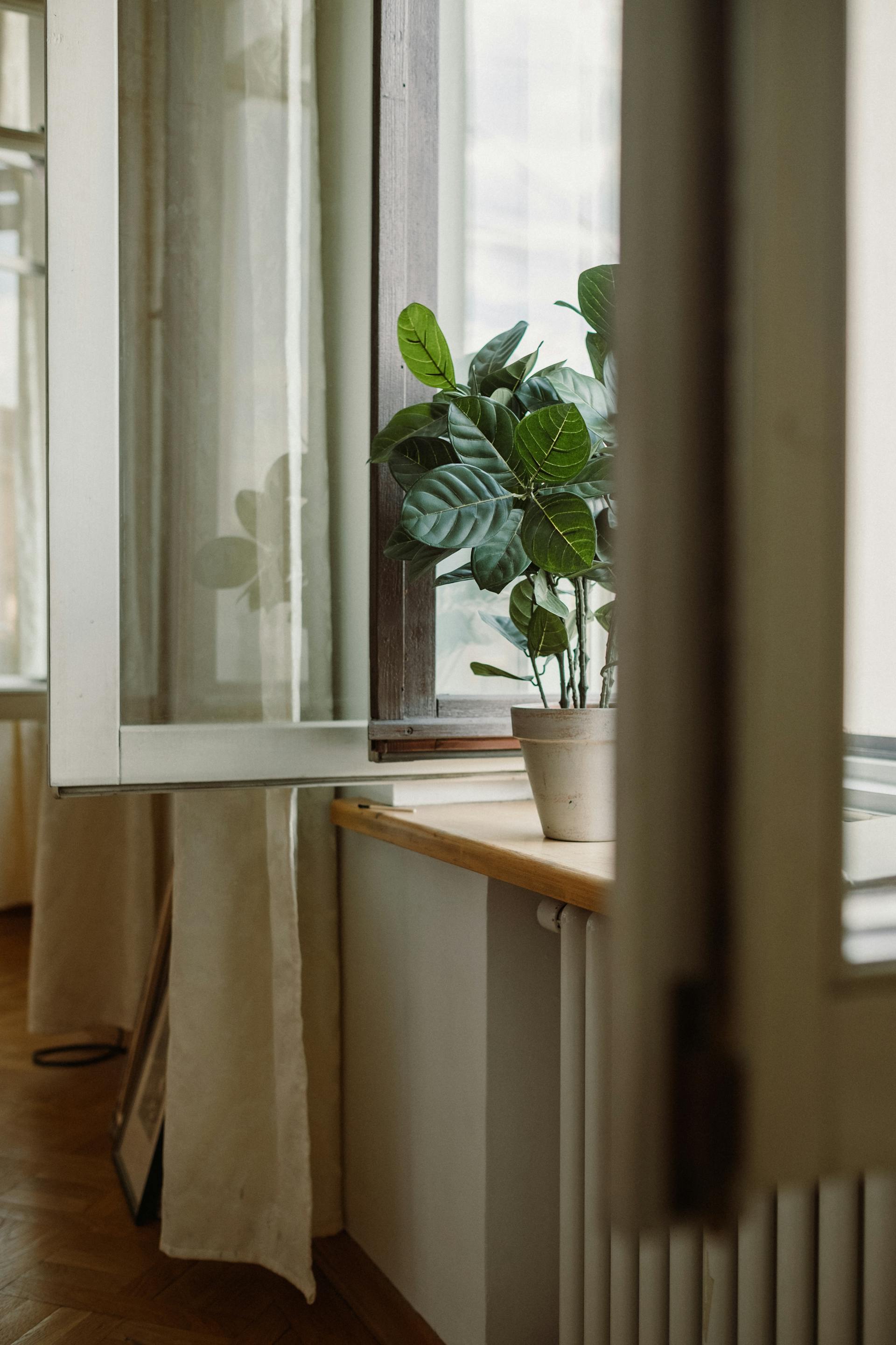 Fenêtres ouvertes dans une maison | Source : Pexels