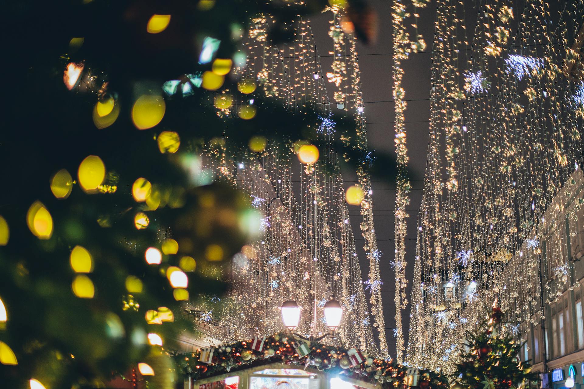 Lumières de Noël | Source : Pexels