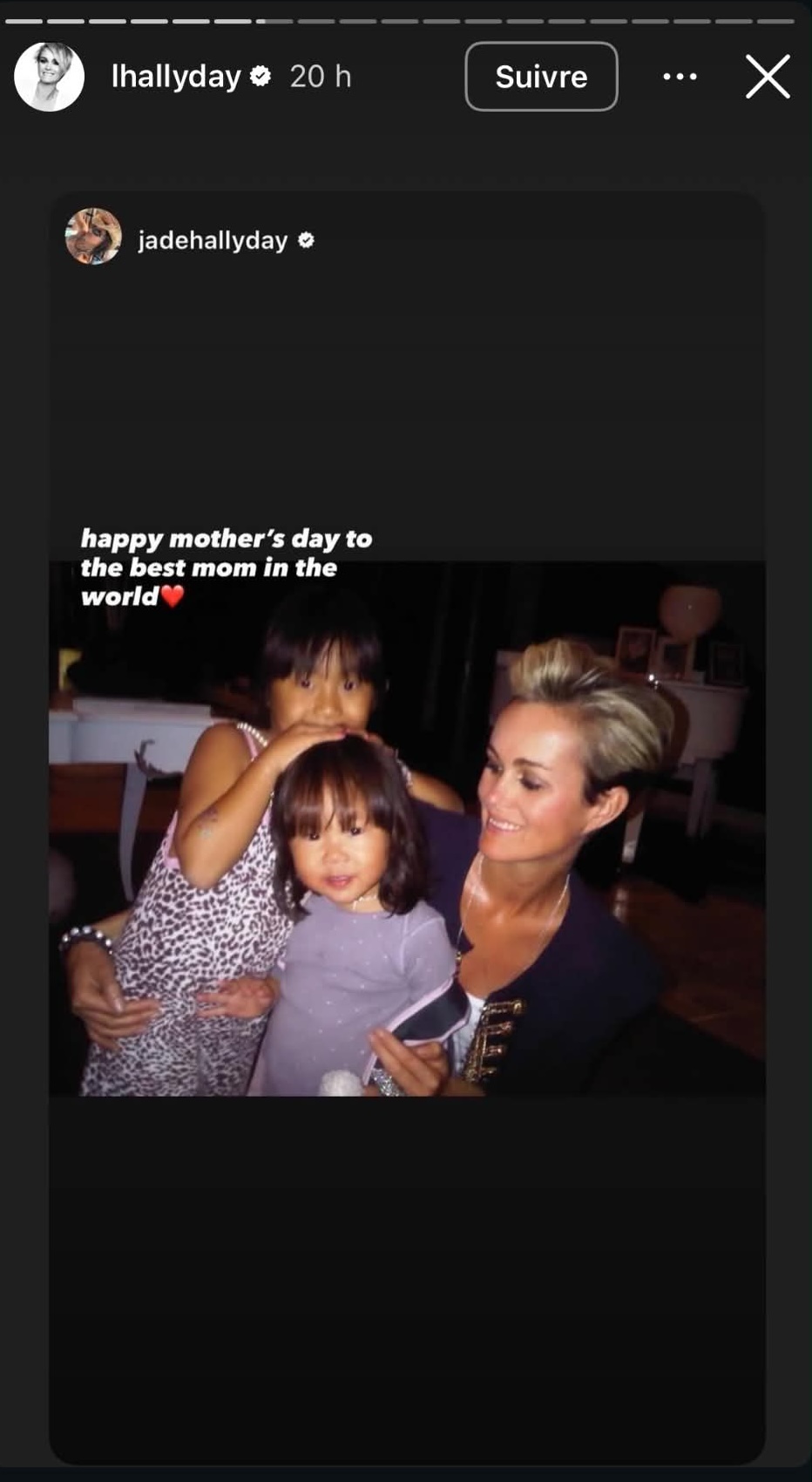 Capture d'écran d'une story I Source : https://www.instagram.com/lhallyday/