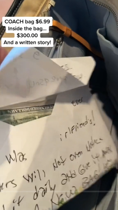 Lynora Silverman montre l'argent qu'elle a trouvé dans le sac de Martha | Source : tiktok.com/@marthainfused