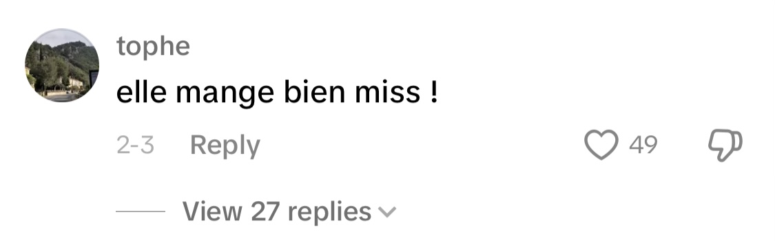 Commentaire d'un internaute | Source : TikTok