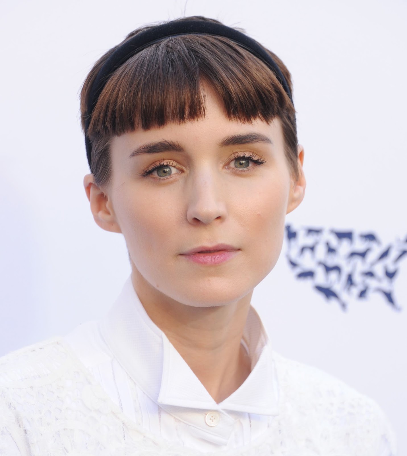 Rooney Mara a assisté à la soirée annuelle To The Rescue ! Los Angeles Benefit en 2017, reflétant son dévouement aux droits des animaux et aux causes éthiques qui s'alignent sur ses valeurs personnelles. | Source : Getty Images