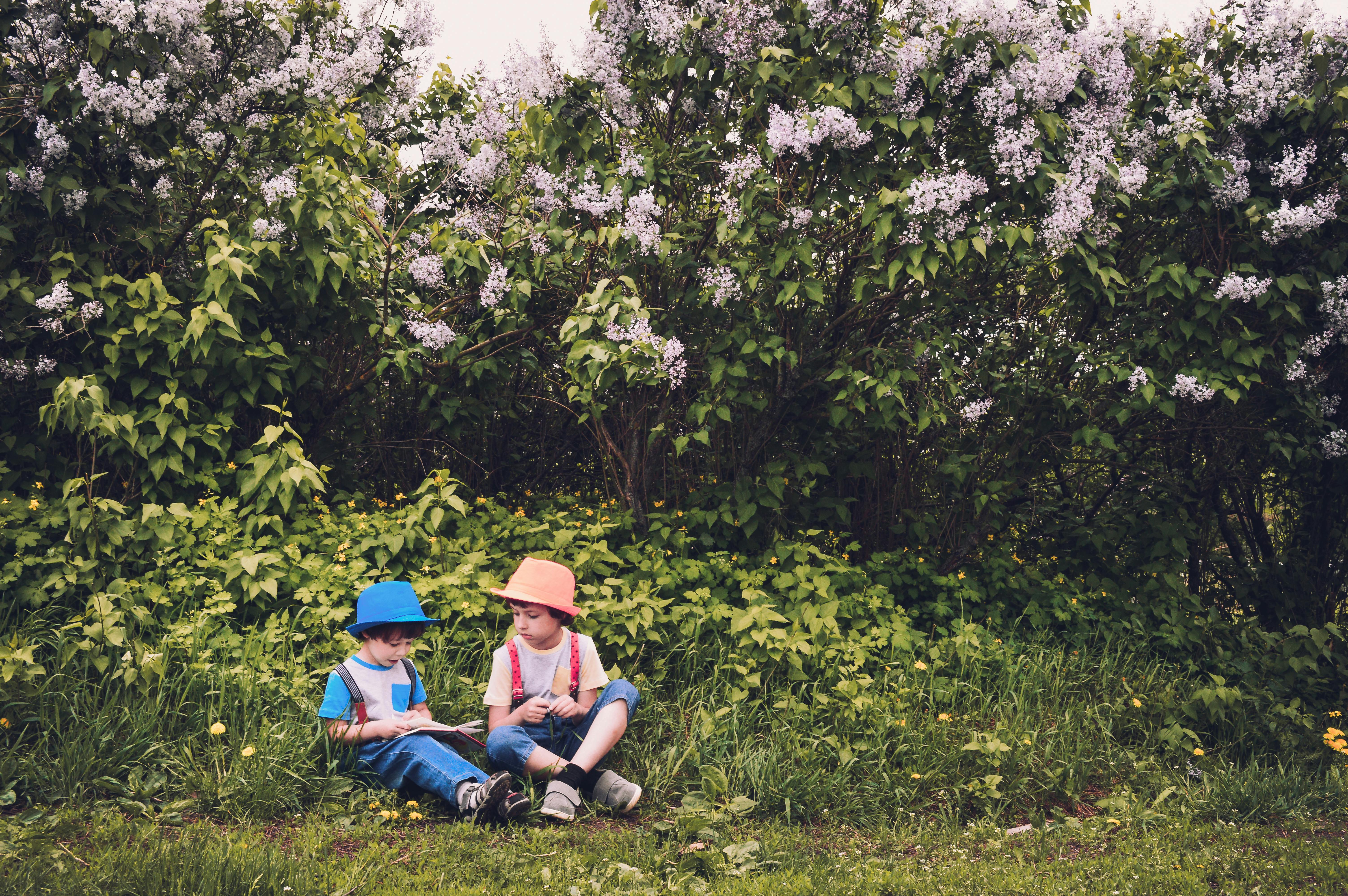 Des enfants jouent dans le parc | Source : Pexels