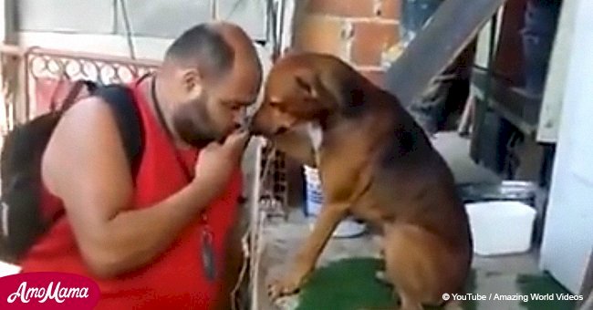 Un chien fidèle fait le plus grand câlin à son propriétaire lorsqu'il rentre à la maison (vidéo)