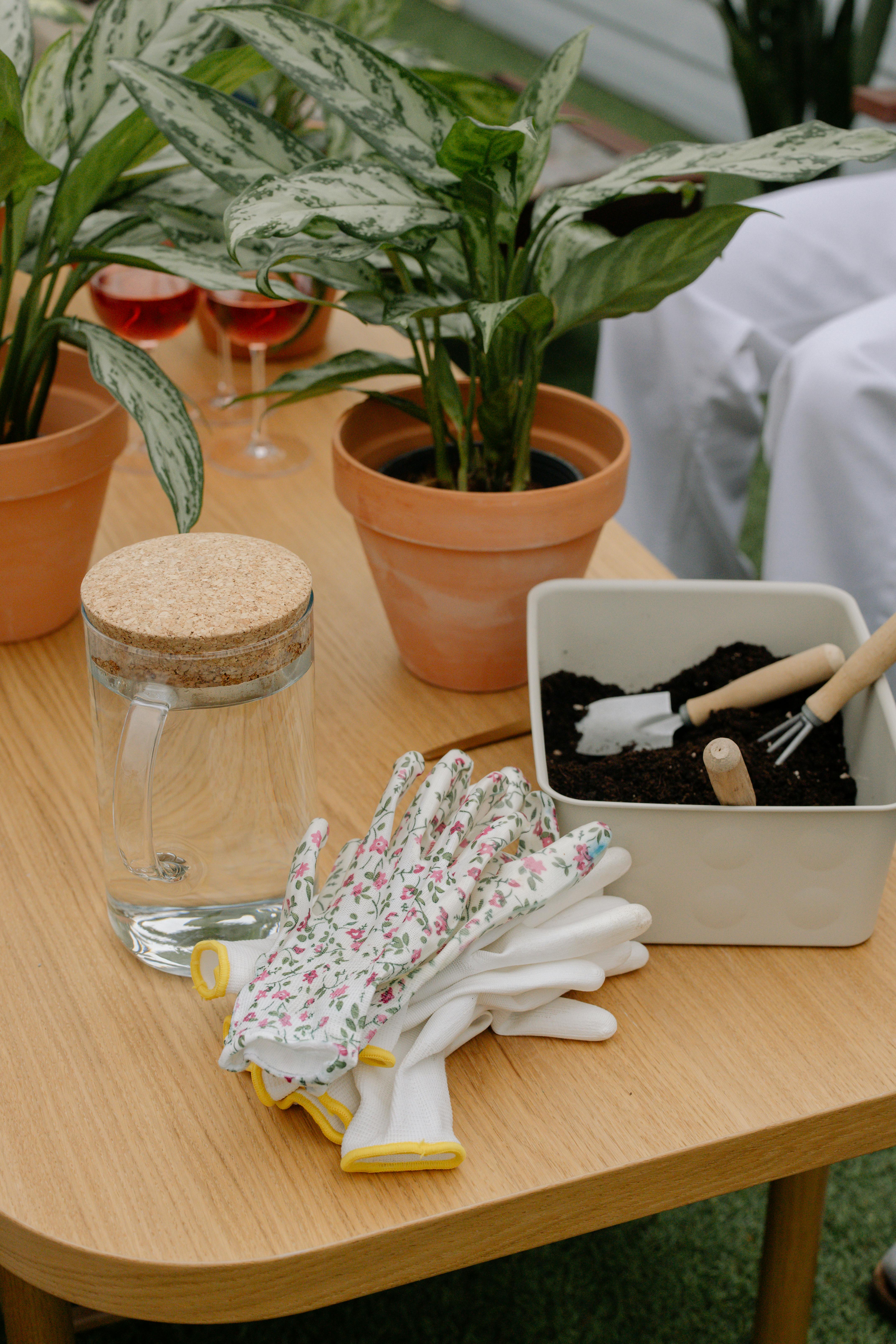 Des plantes en pot, un ensemble de gants et des outils de jardinage sur une table en bois | Source : Pexels