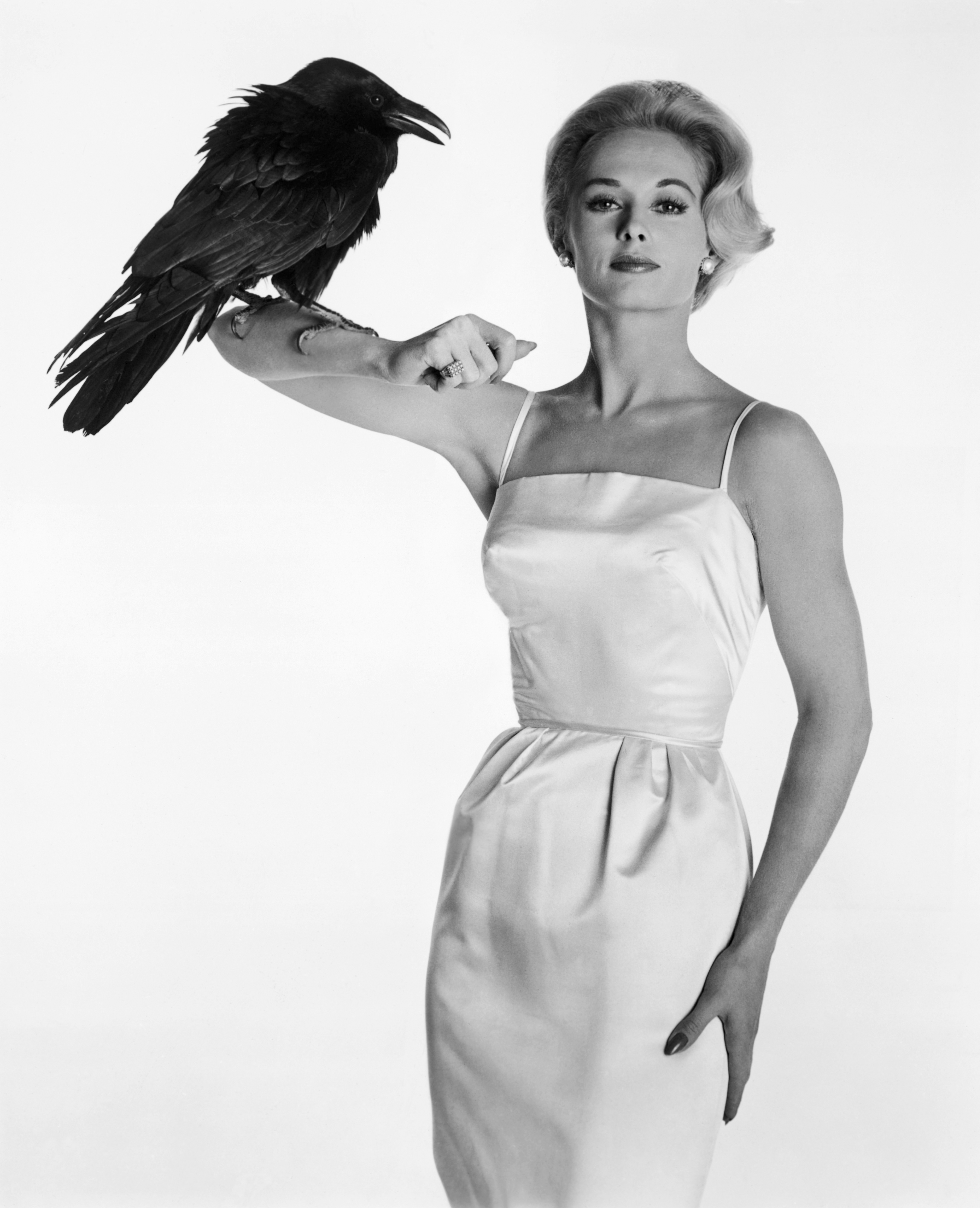 Tippi Hedren en 1963. | Source : Getty Images