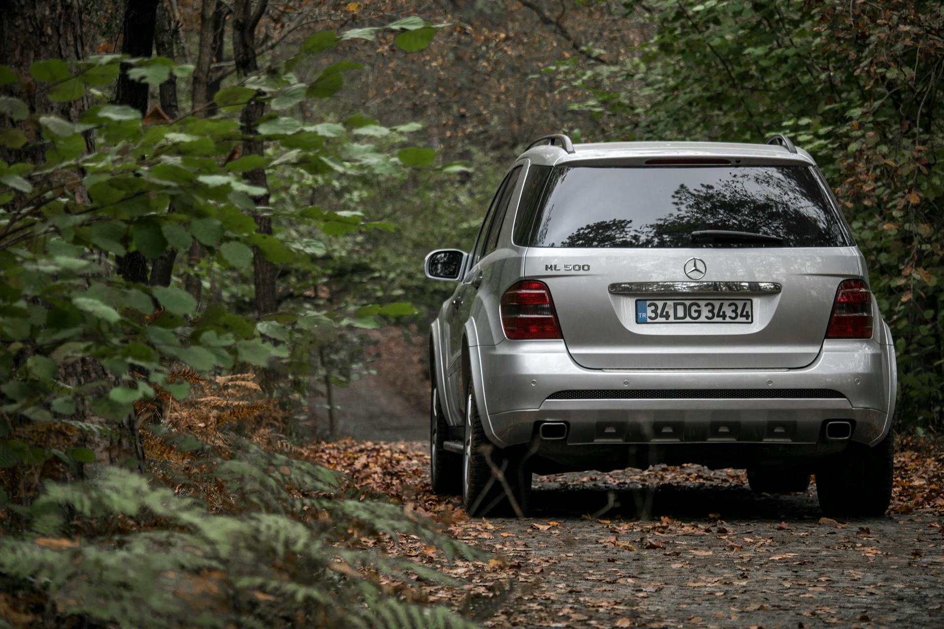 Une voiture garée dans une forêt | Source : Pexels