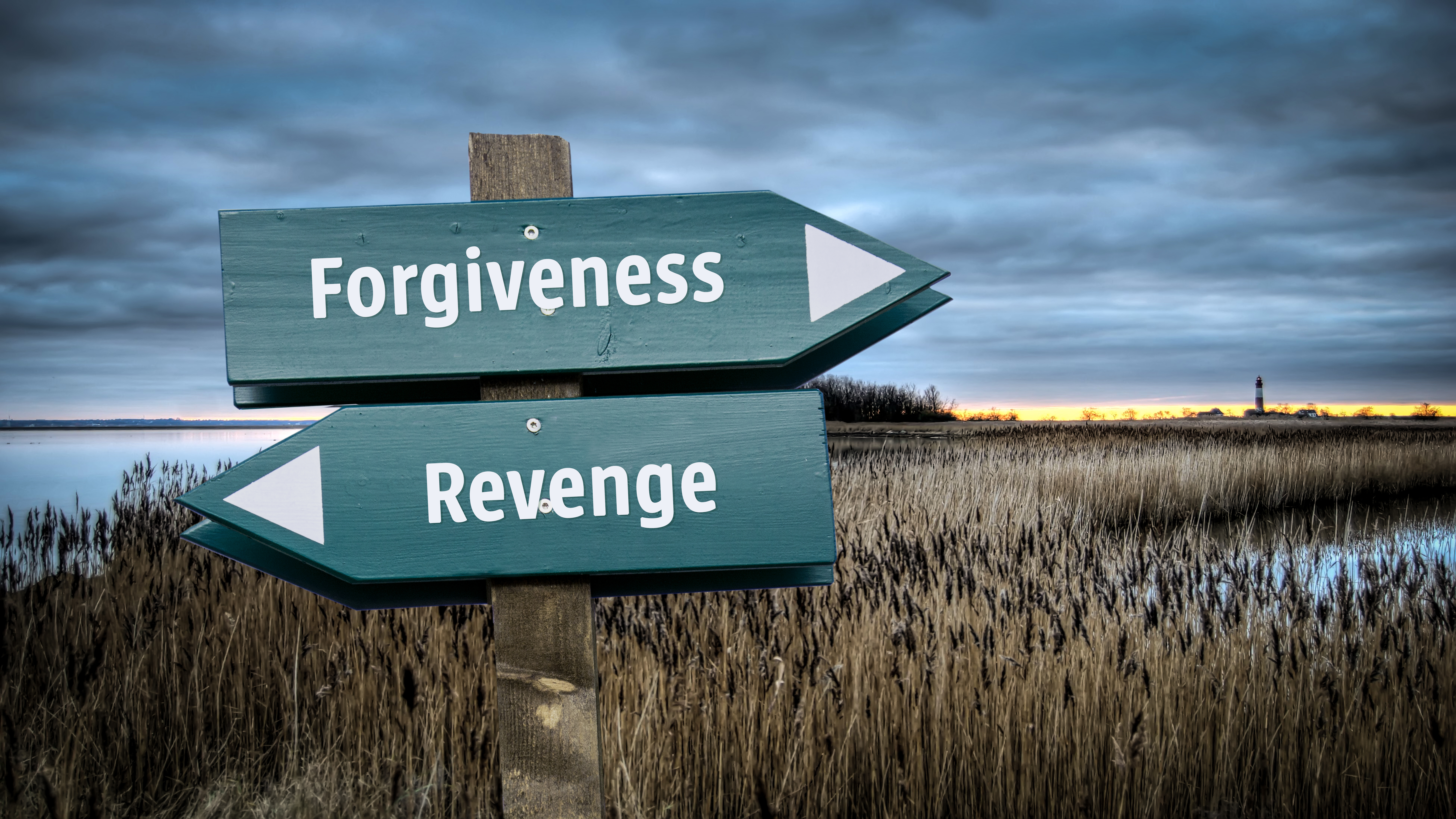 Deux panneaux indiquant des directions opposées, l'un portant la mention "pardon" et l'autre "vengeance" : Shutterstock