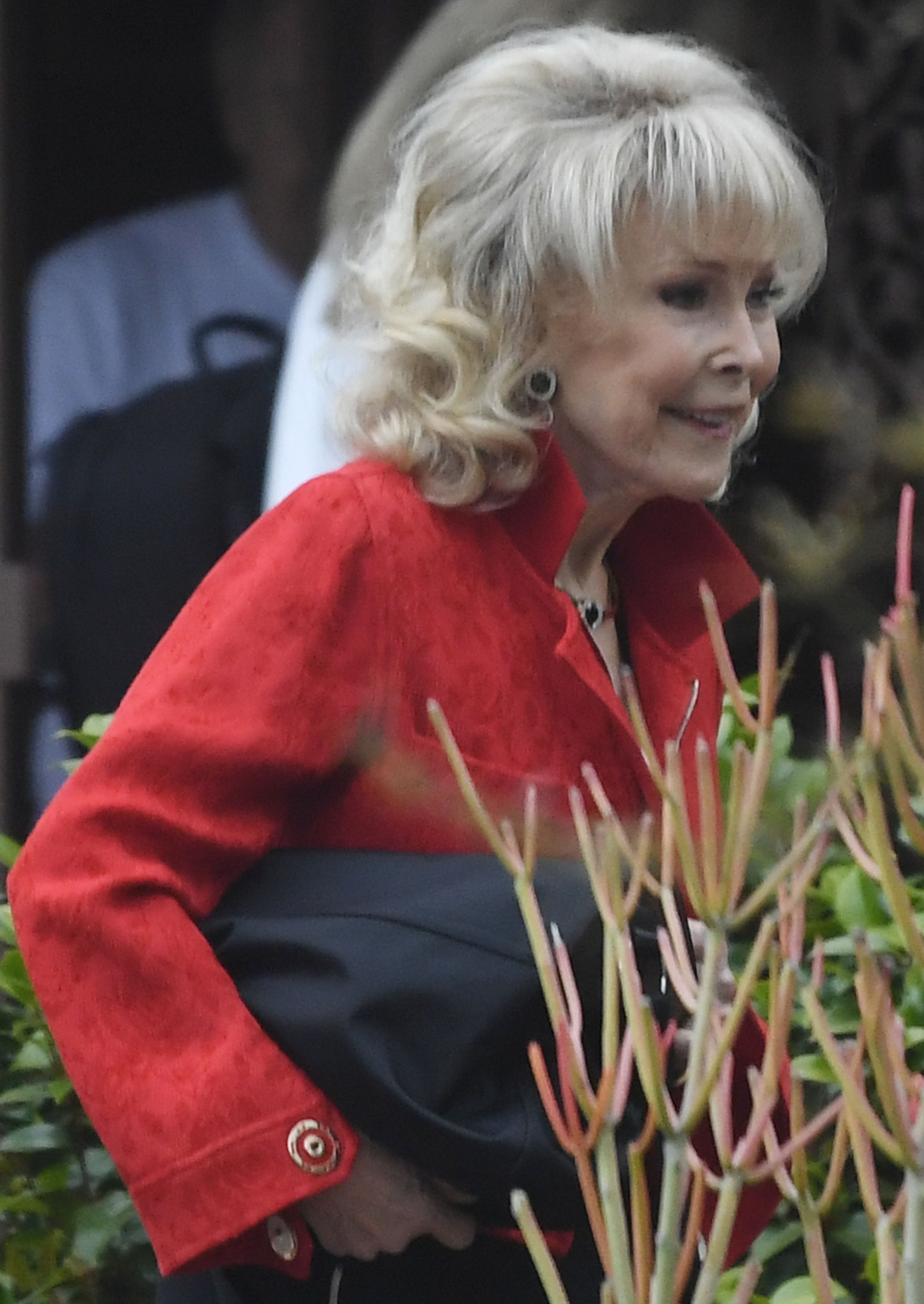 Barbara Eden porte son sac le 23 mai 2024, à Los Angeles, en Californie. | Source : Getty Images