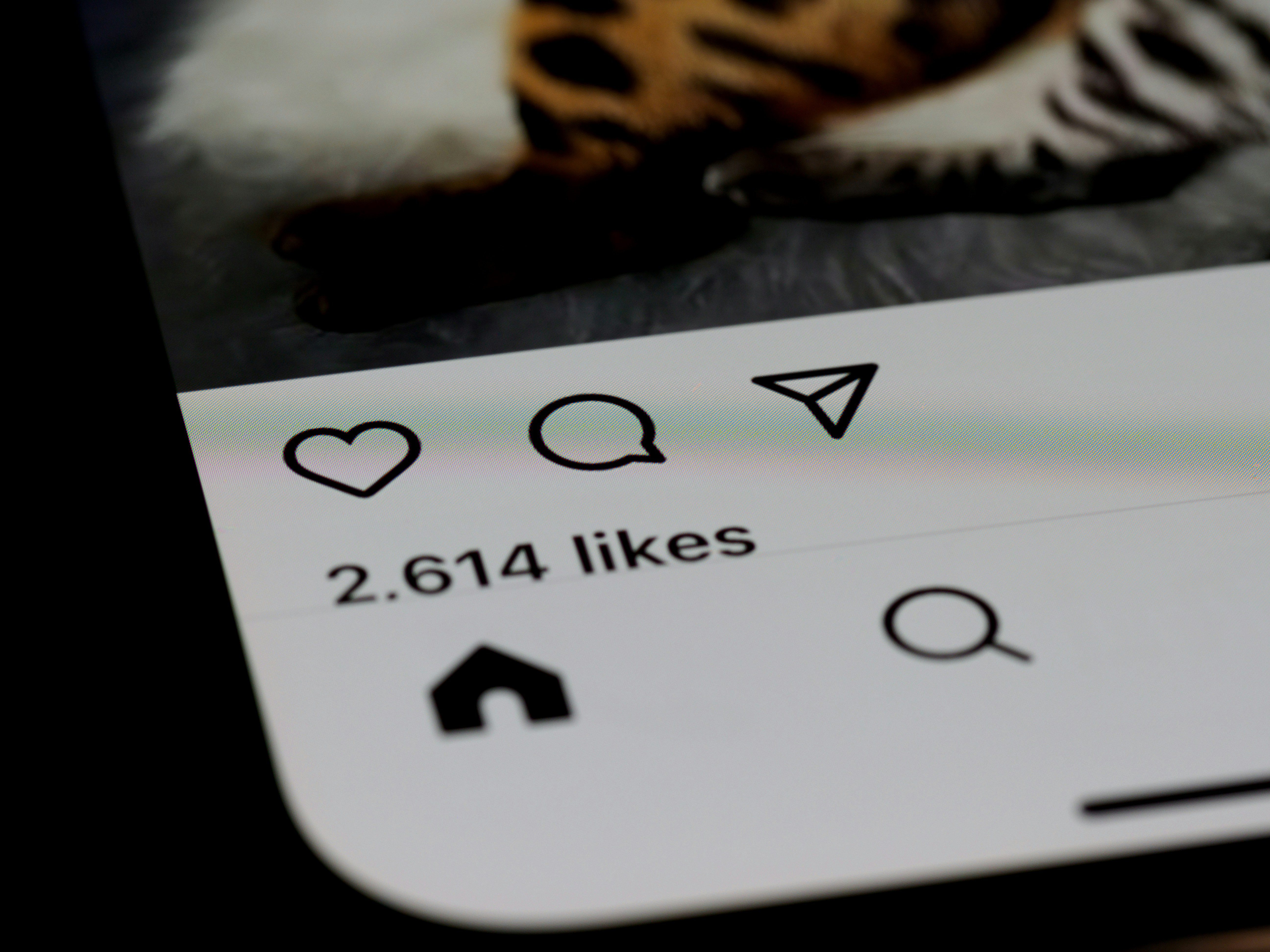 Le nombre de likes sur un post de réseaux sociaux | Source : Unsplash
