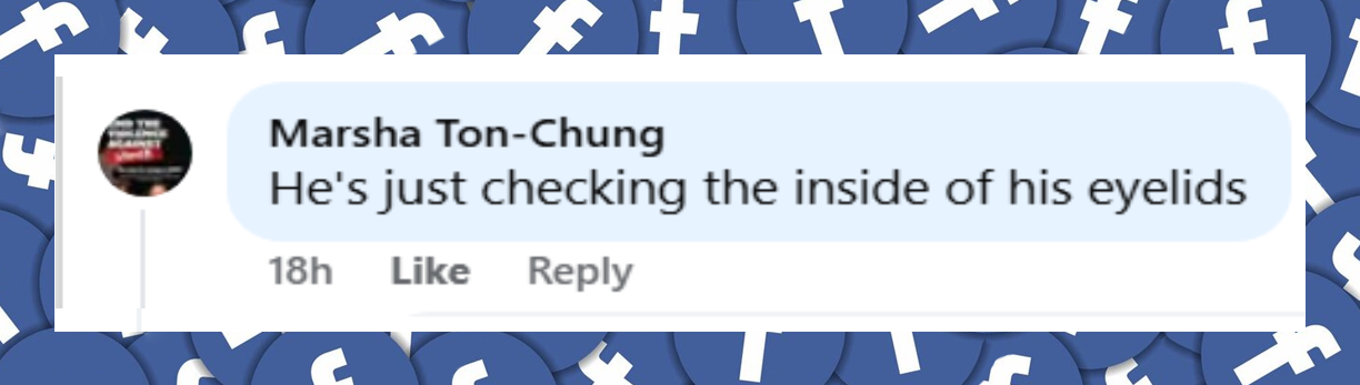 Commentaire d'une internaute sur le fait que Hugh Grant s'est assoupi pendant le match de Wimbledon le 9 juillet 2025 | Source : Facebook/TMZ