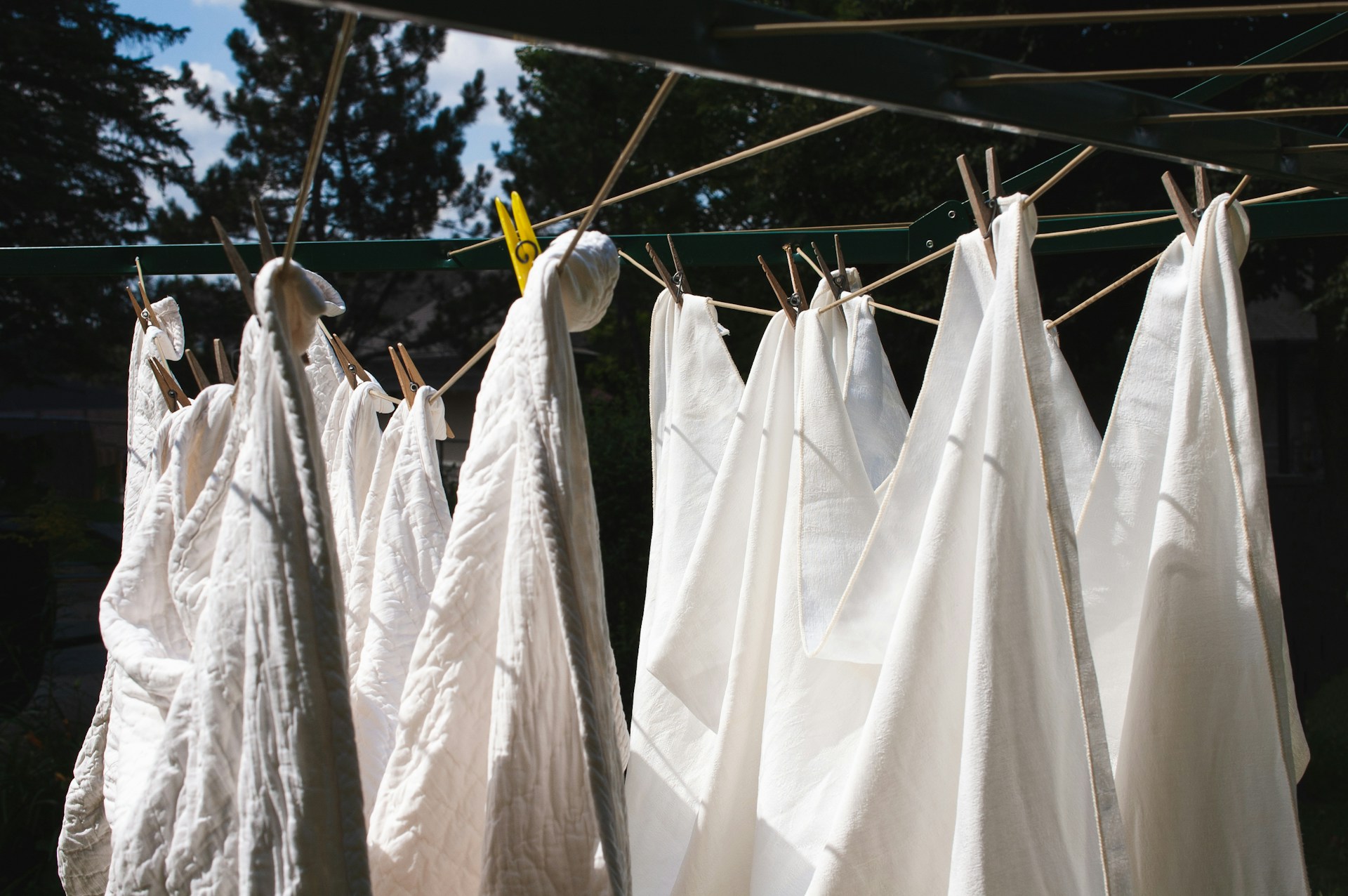Feuilles épinglées à une corde à linge | Source : Unsplash
