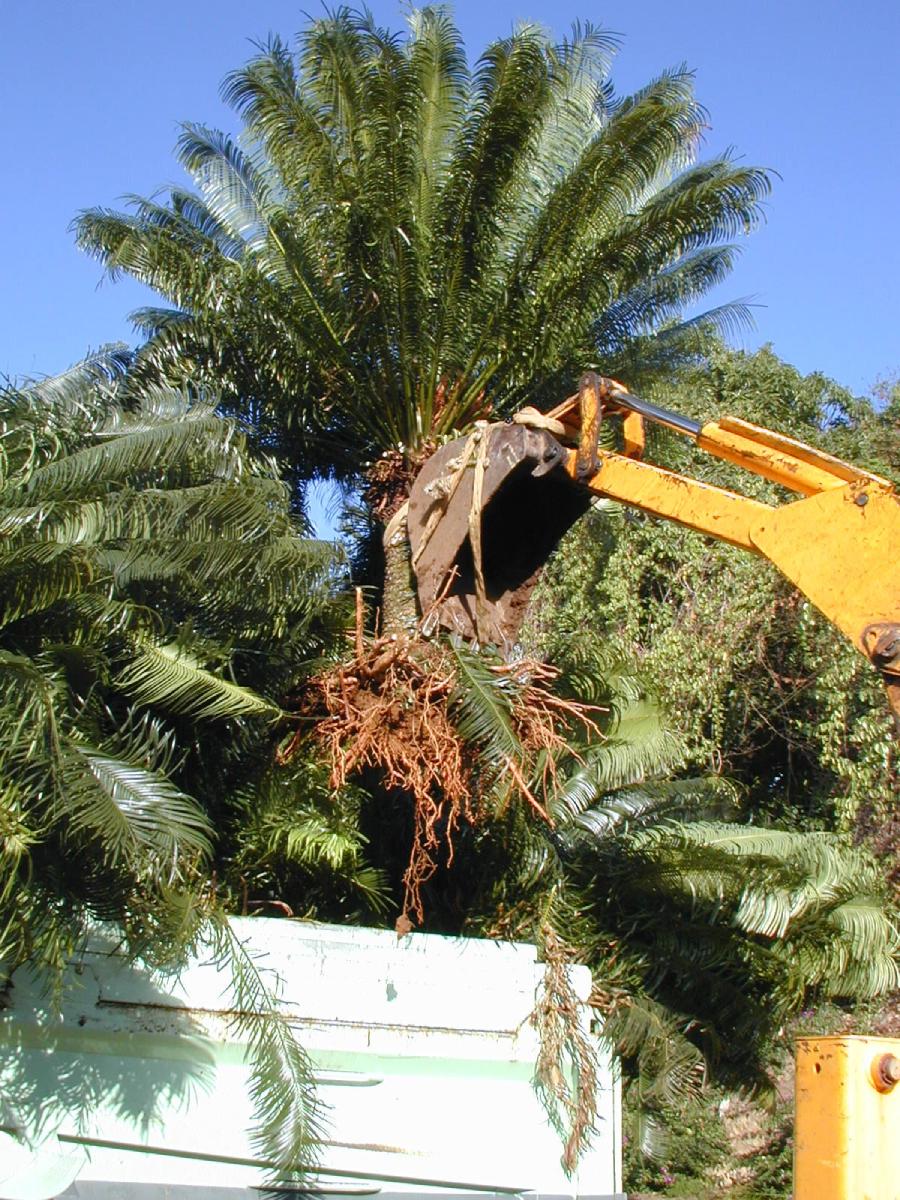 L'ancienne propriété de Coluche en Guadeloupe | Source : jardin-botanique.com