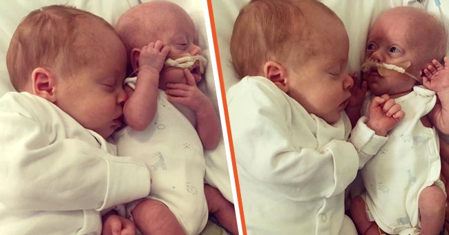 Les jumeaux nouveau-nés Chester et Otis Graves se font des câlins. | Source : instagram.com/miracletwins_plus3