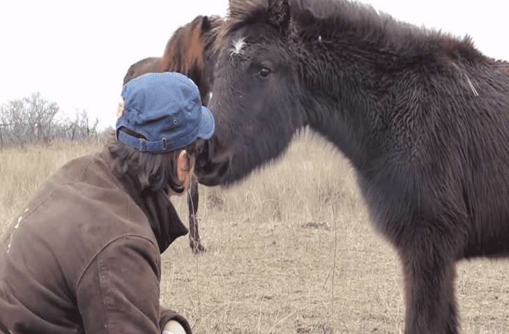 QUATRE PAWS héros : Comment un cheval sauvage remercie son sauveur | FOUR PAWS International : Youtube