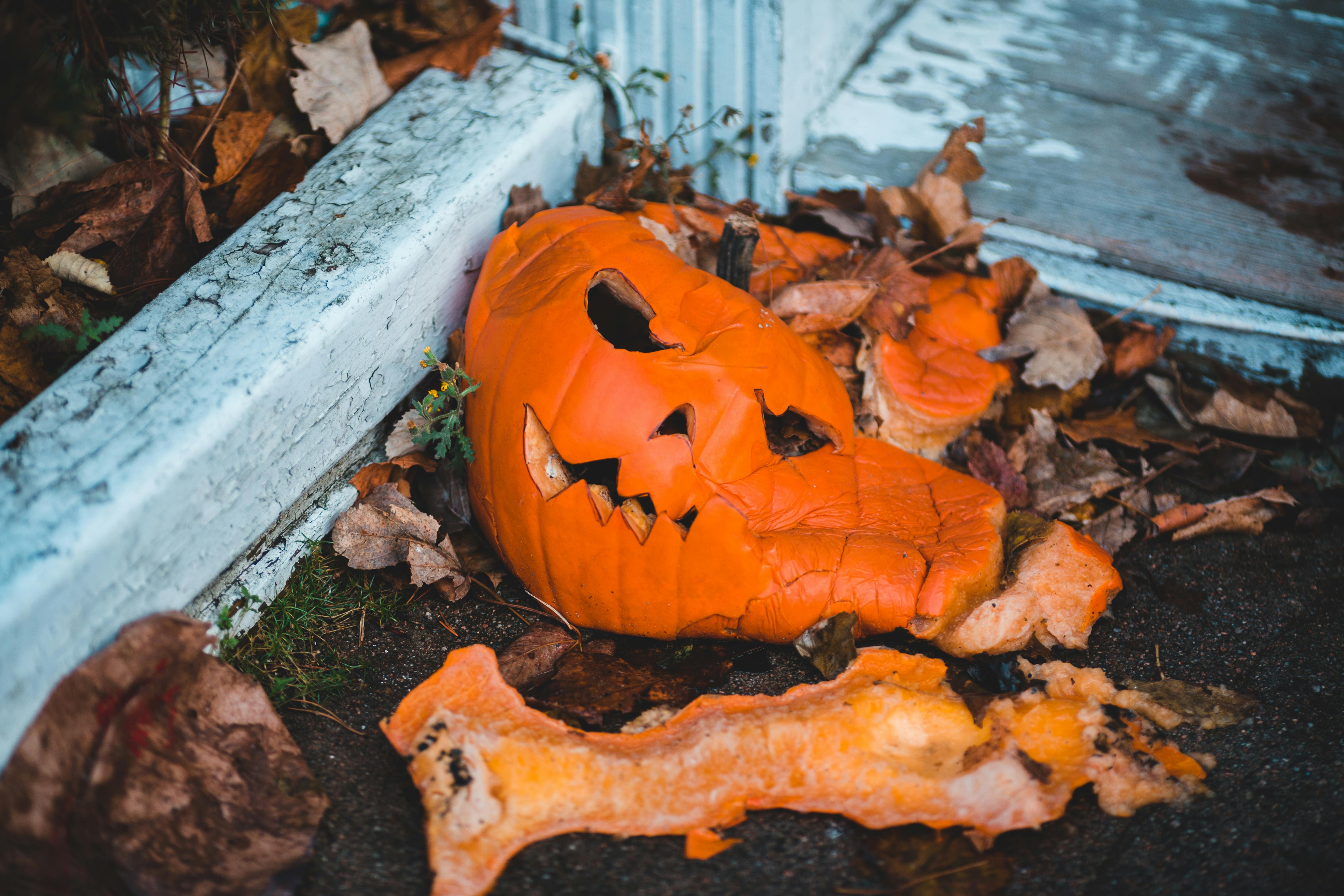 Une citrouille écrasée | Source : Pexels