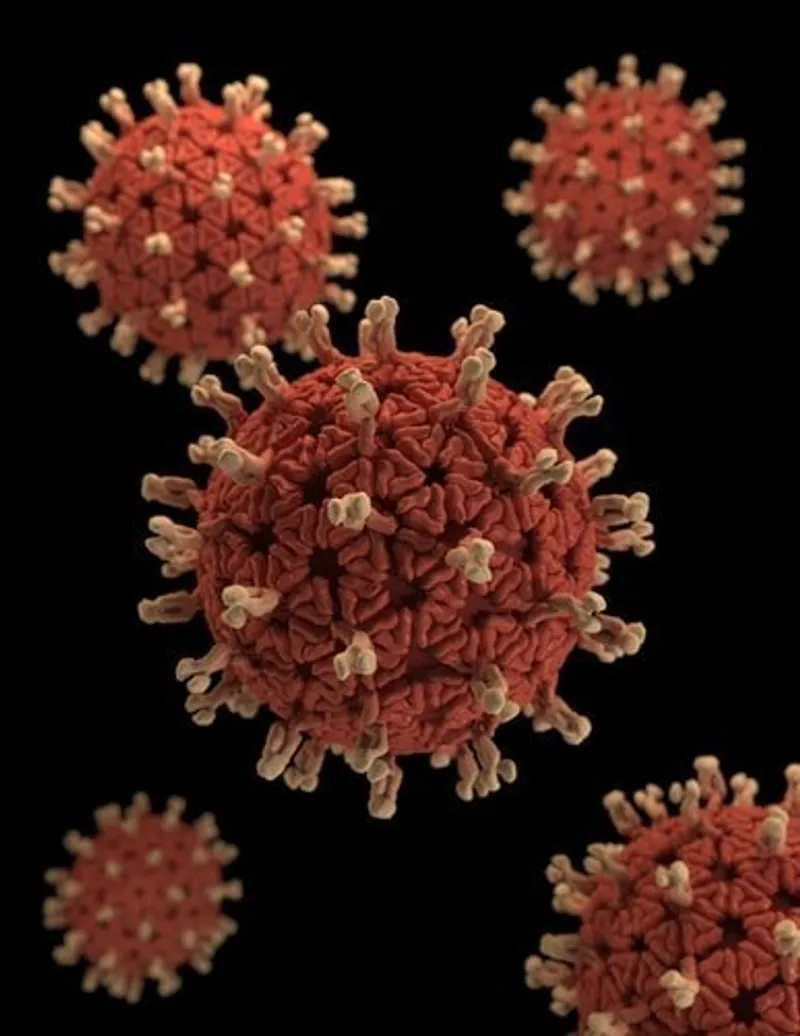 Image Illustrant le Virus du Covid-19 | Photo : Getty Images