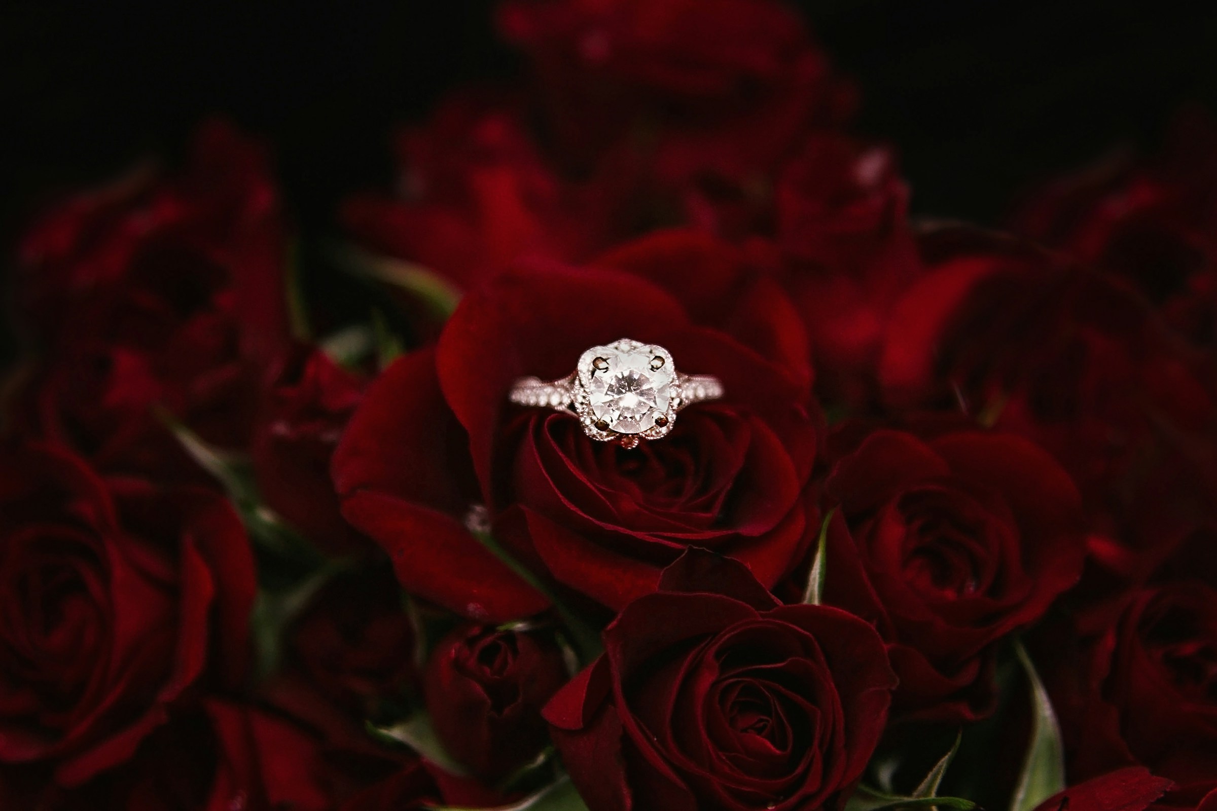 Une bague de fiançailles avec des roses rouges | Source : Unsplash