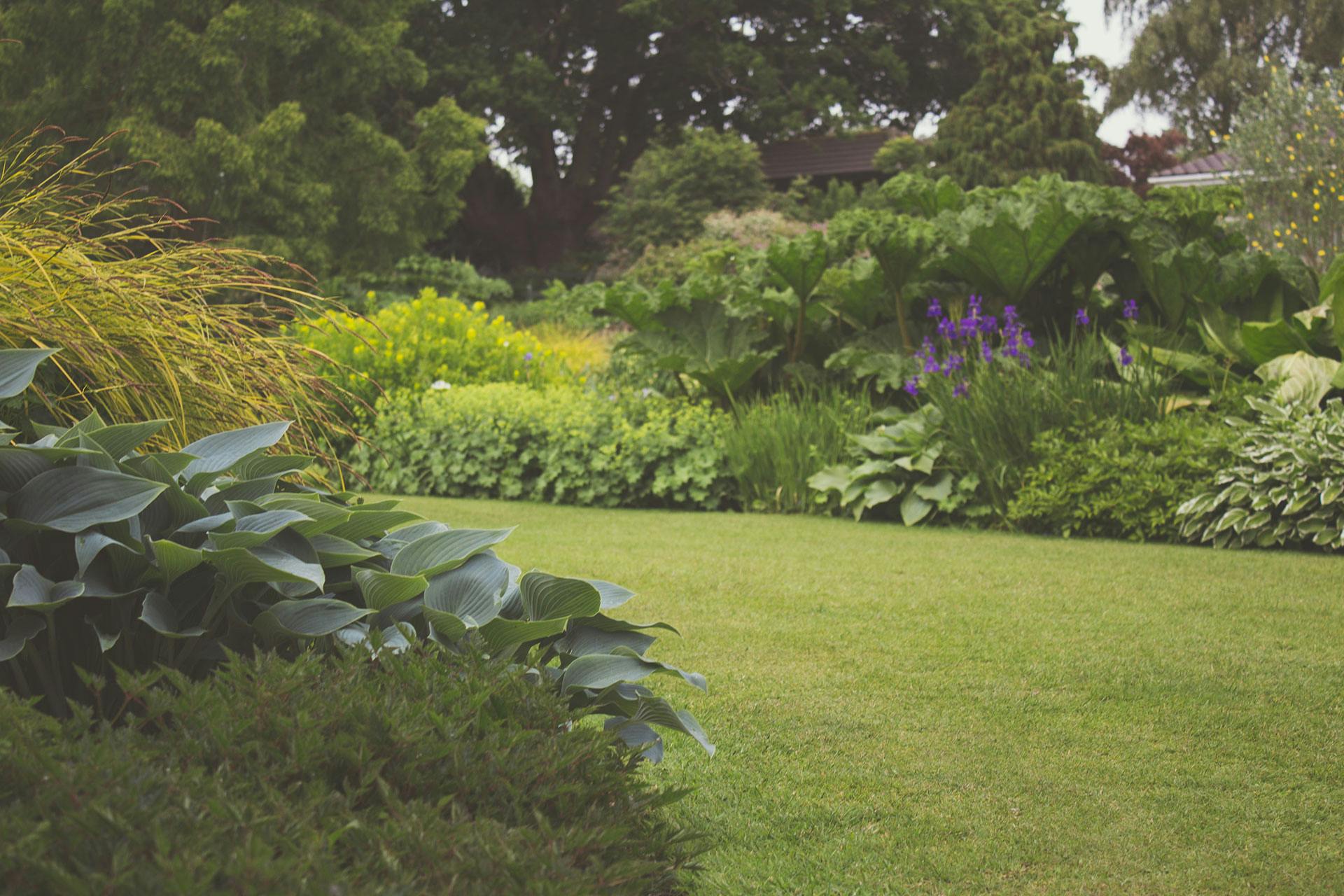 Un jardin bien entretenu | Source : Pexels