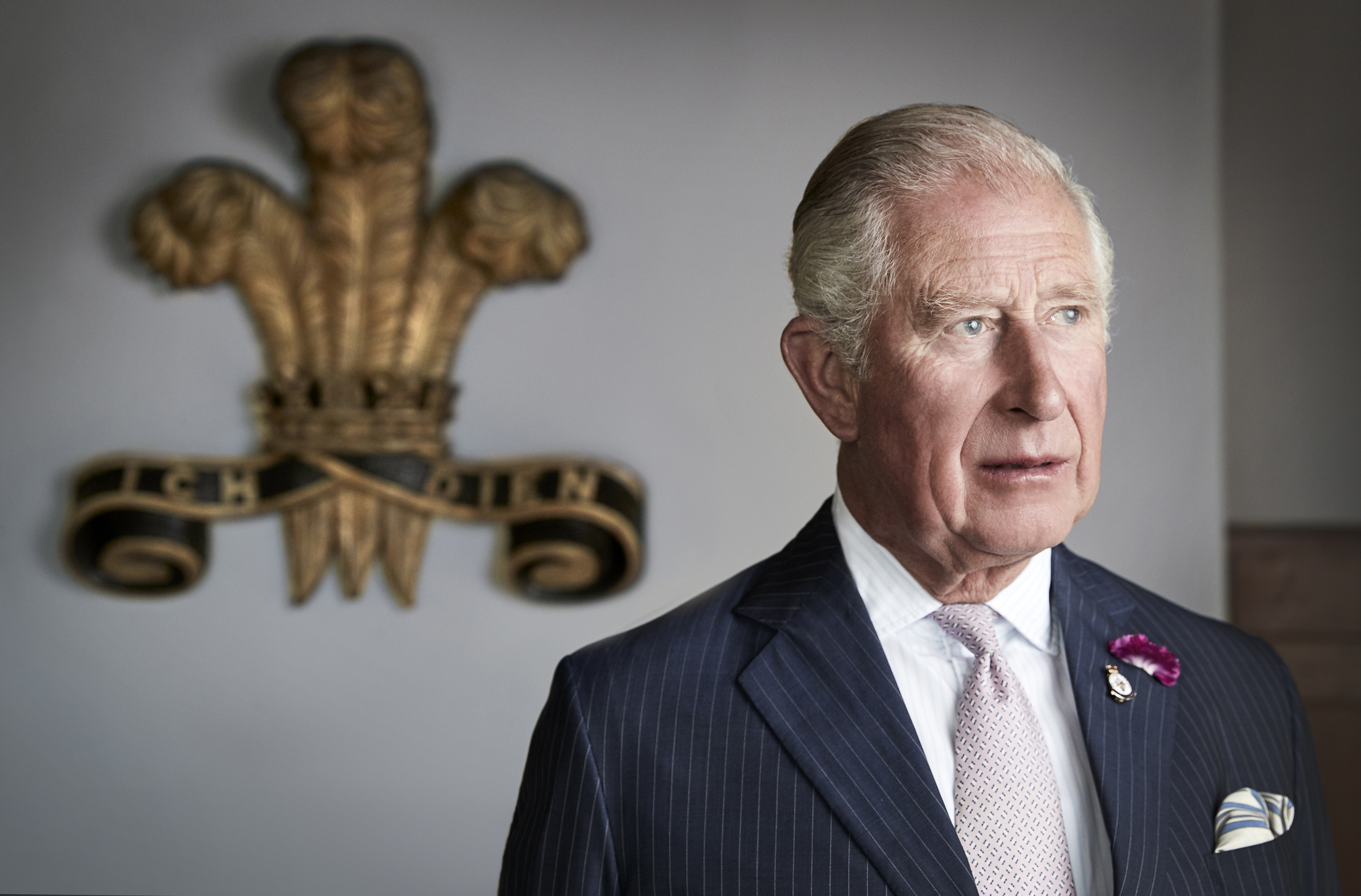 Le roi Charles pose pour un portrait officiel le 2 juillet 2019 à Myddfai, au Pays de Galles, au Royaume-Uni | Source : Getty Images