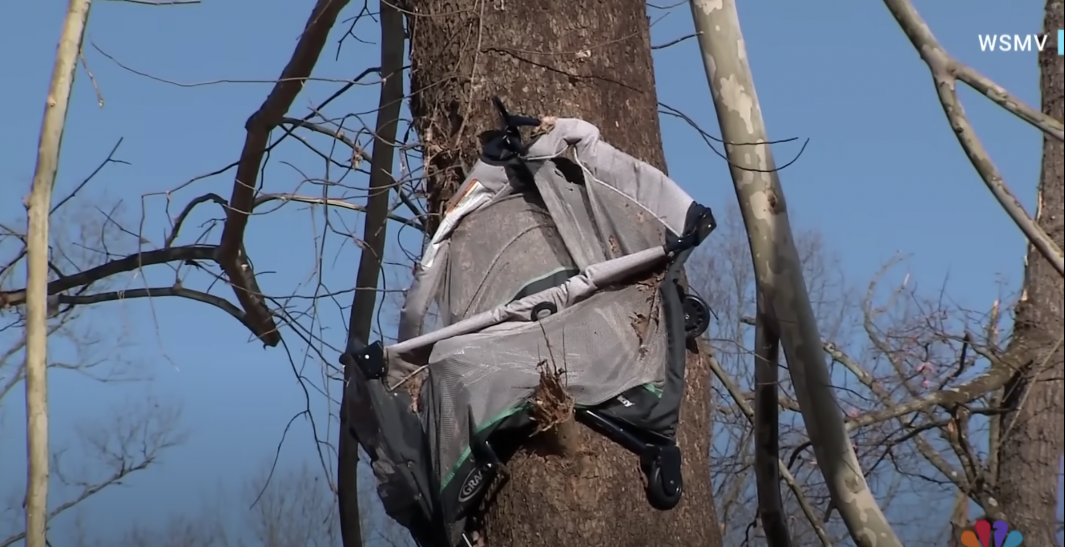 Couffin suspendu à un arbre, ressemblant à un berceau, vu dans une vidéo datée du 16 décembre 2023 | Source : youtube.com/NBC News