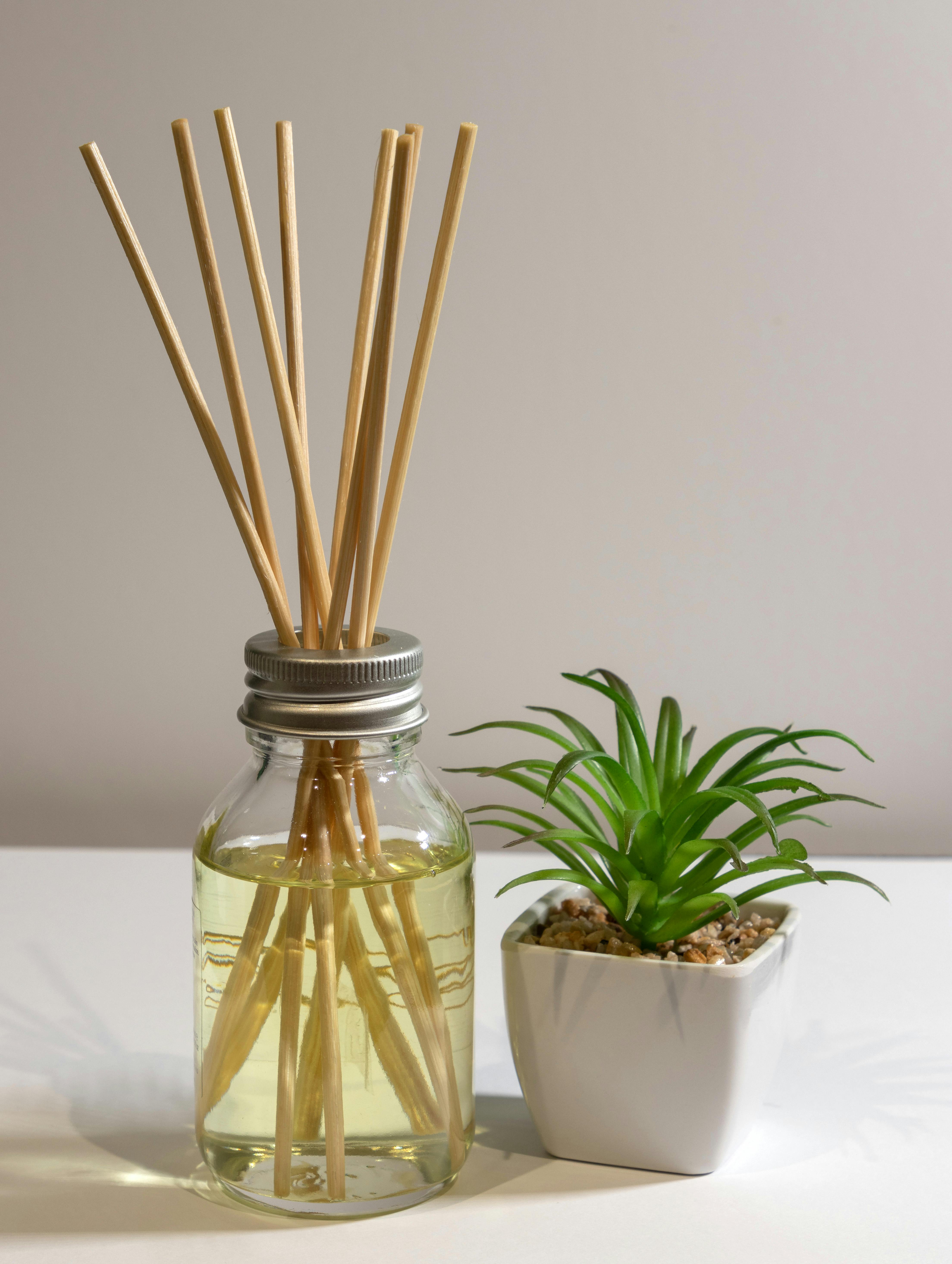 Désodorisant avec des bâtonnets et une plante d'intérieur sur une table | Source : Pexels