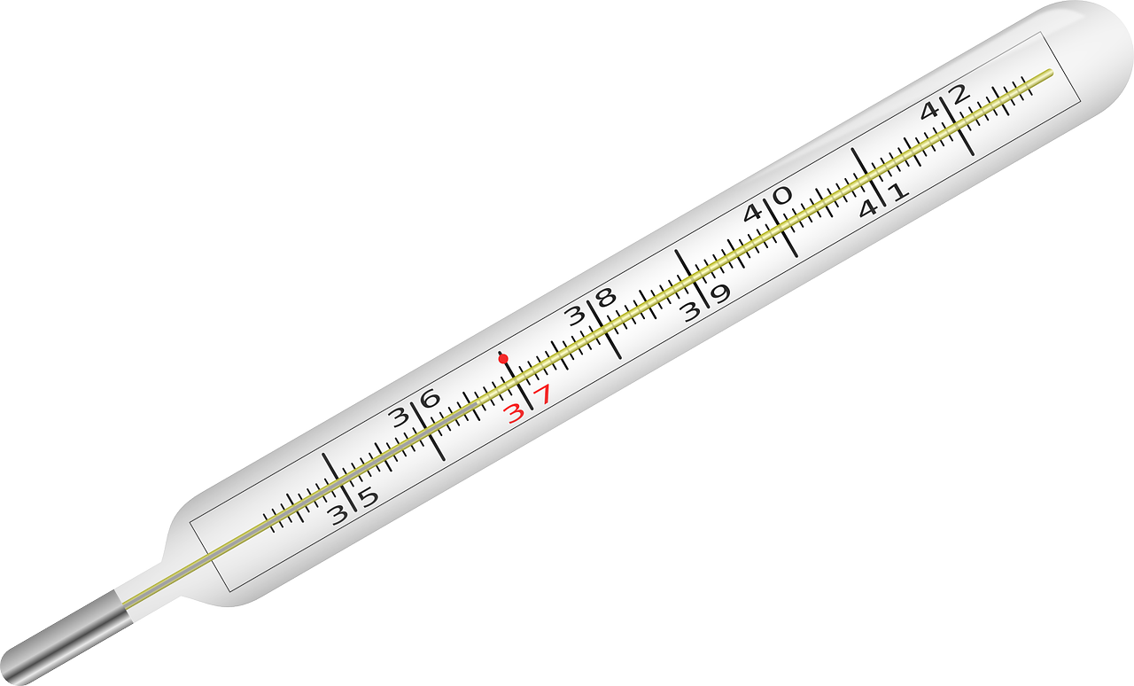 Un thermomètre | Source : Pixabay