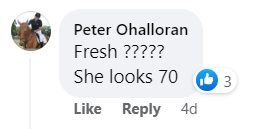 Commentaire d'un fan sur l'apparition de Cate Blanchett le 22 mars 2023. | Source : Facebook/Daily Mail Facebook/Daily Mail