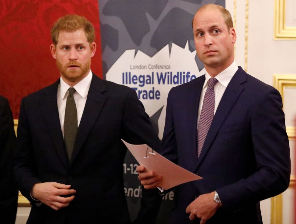 Le Prince William et le Prince Harry lors de la Conférence sur le commerce illégal des espèces  | Source : Getty Images.