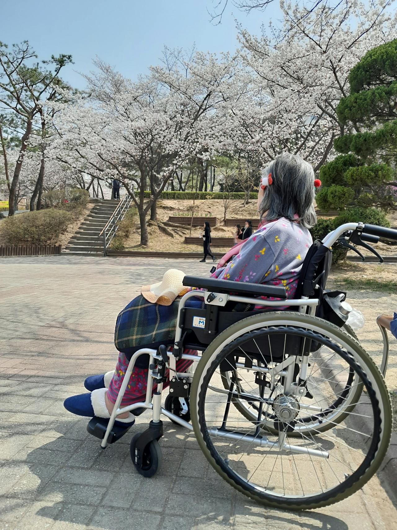 Une femme âgée assise dans son fauteuil roulant | Source : Pexels