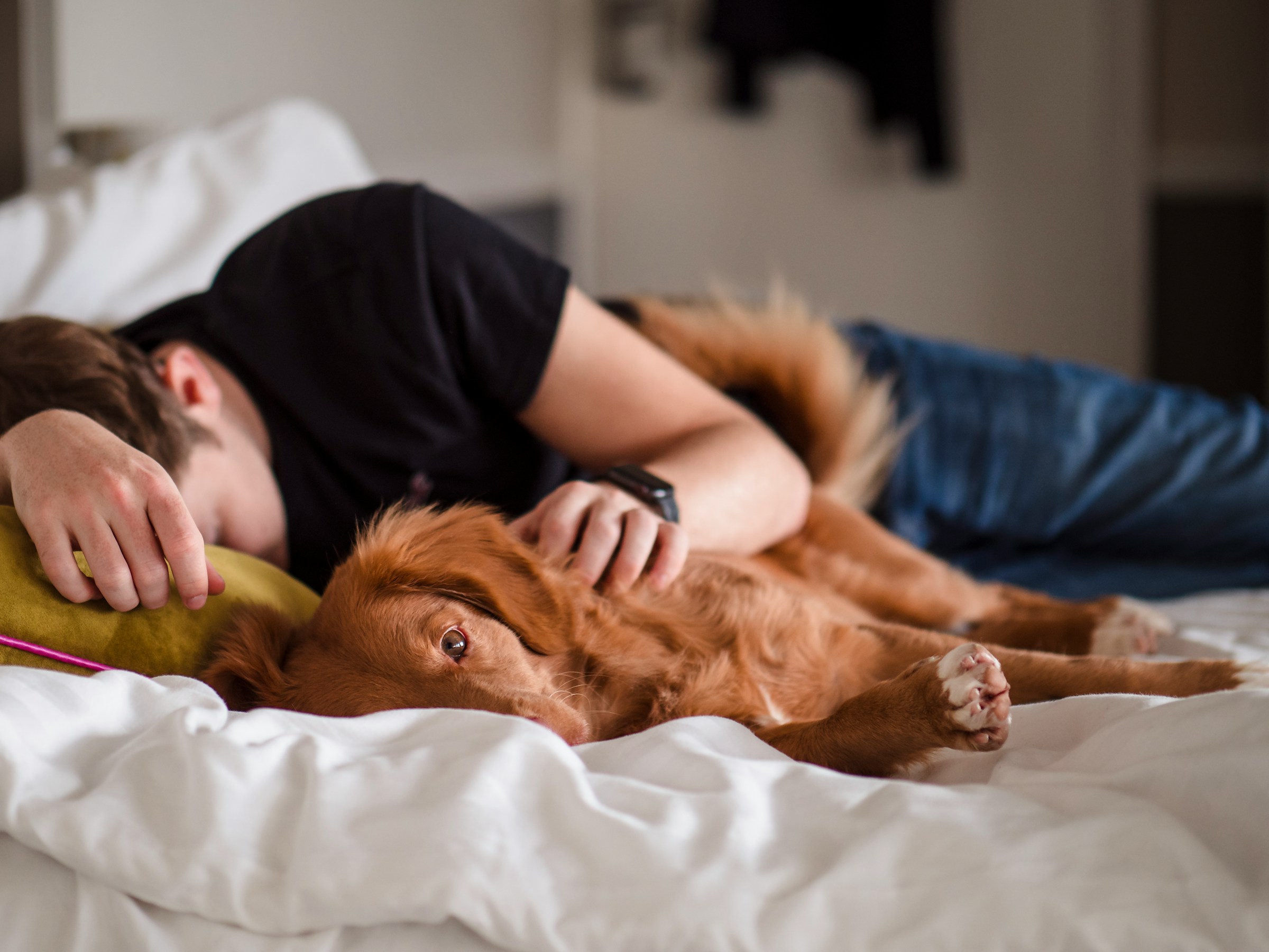Un homme dormant à côté d'un chien | Source : Unsplash