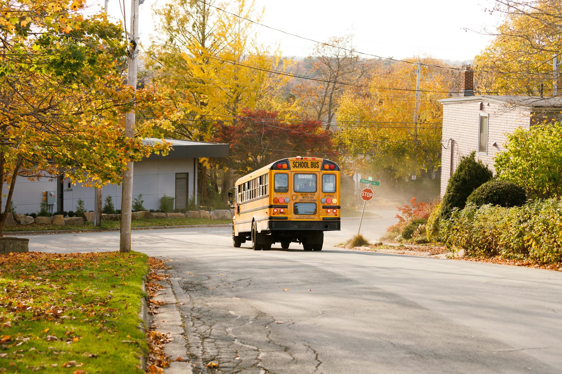 Un bus scolaire circulant dans une banlieue | Source : Pexels