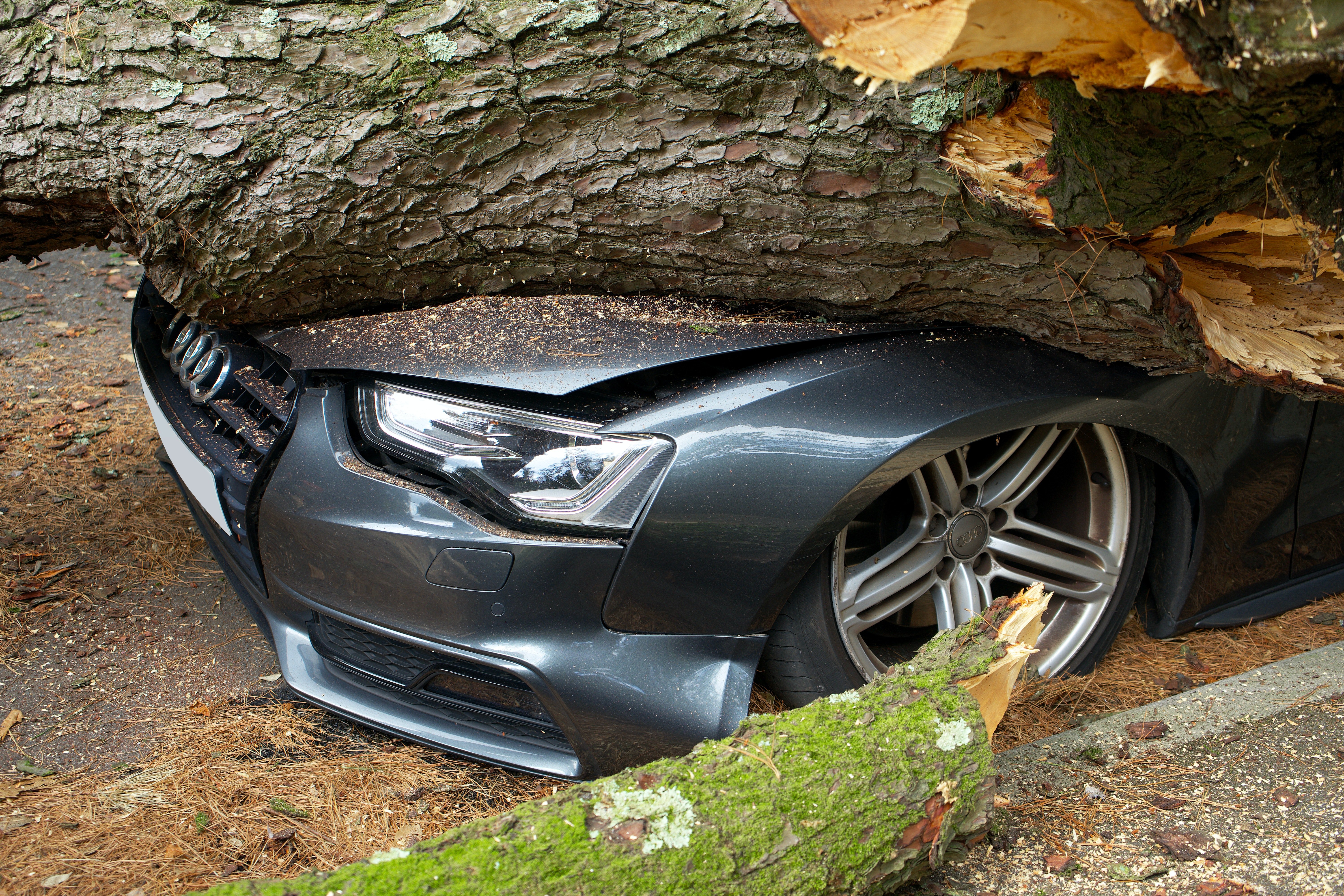 Jérôme a été impliqué dans un accident de voiture | Photo : Pexels